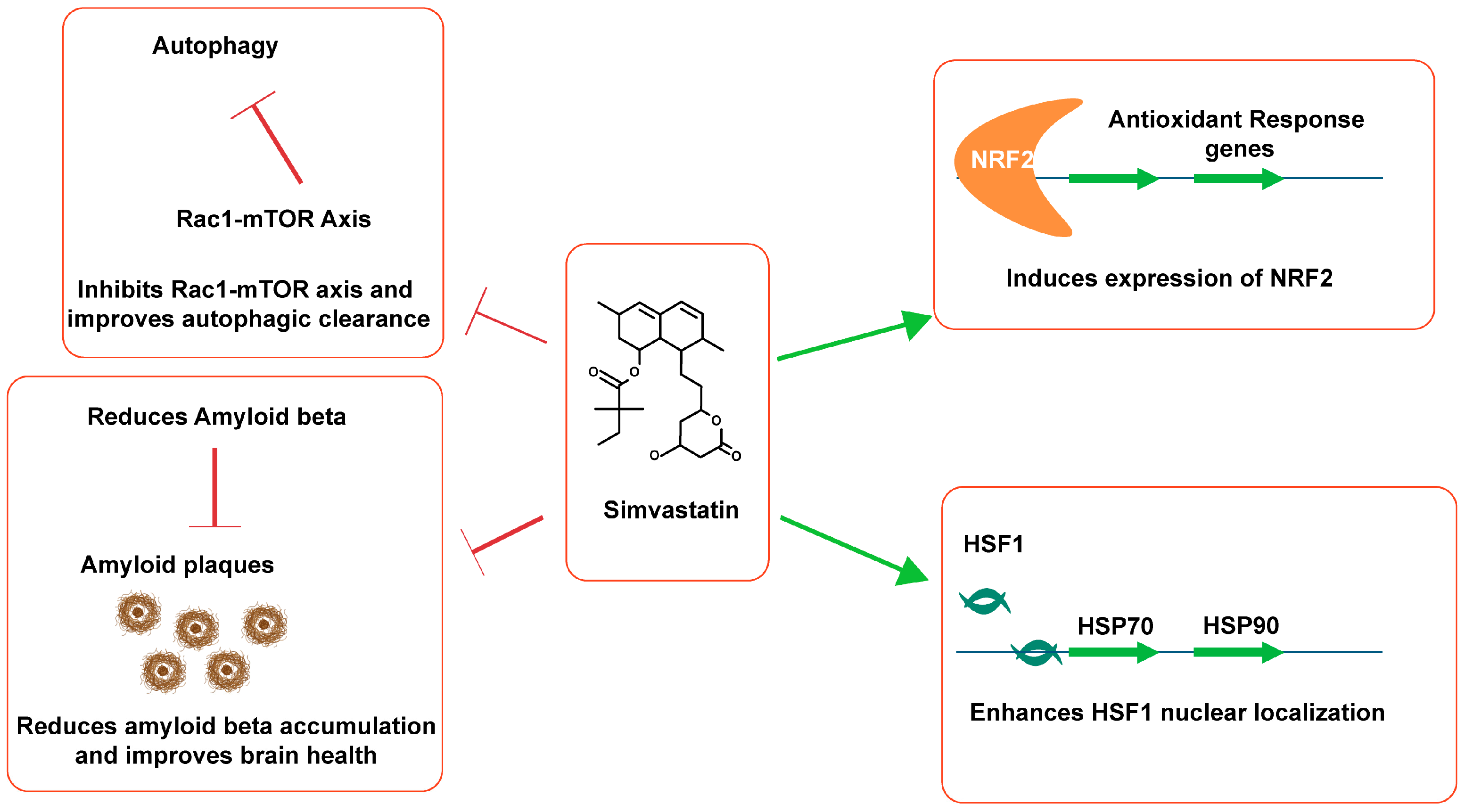 Microorganisms 12 01133 g003