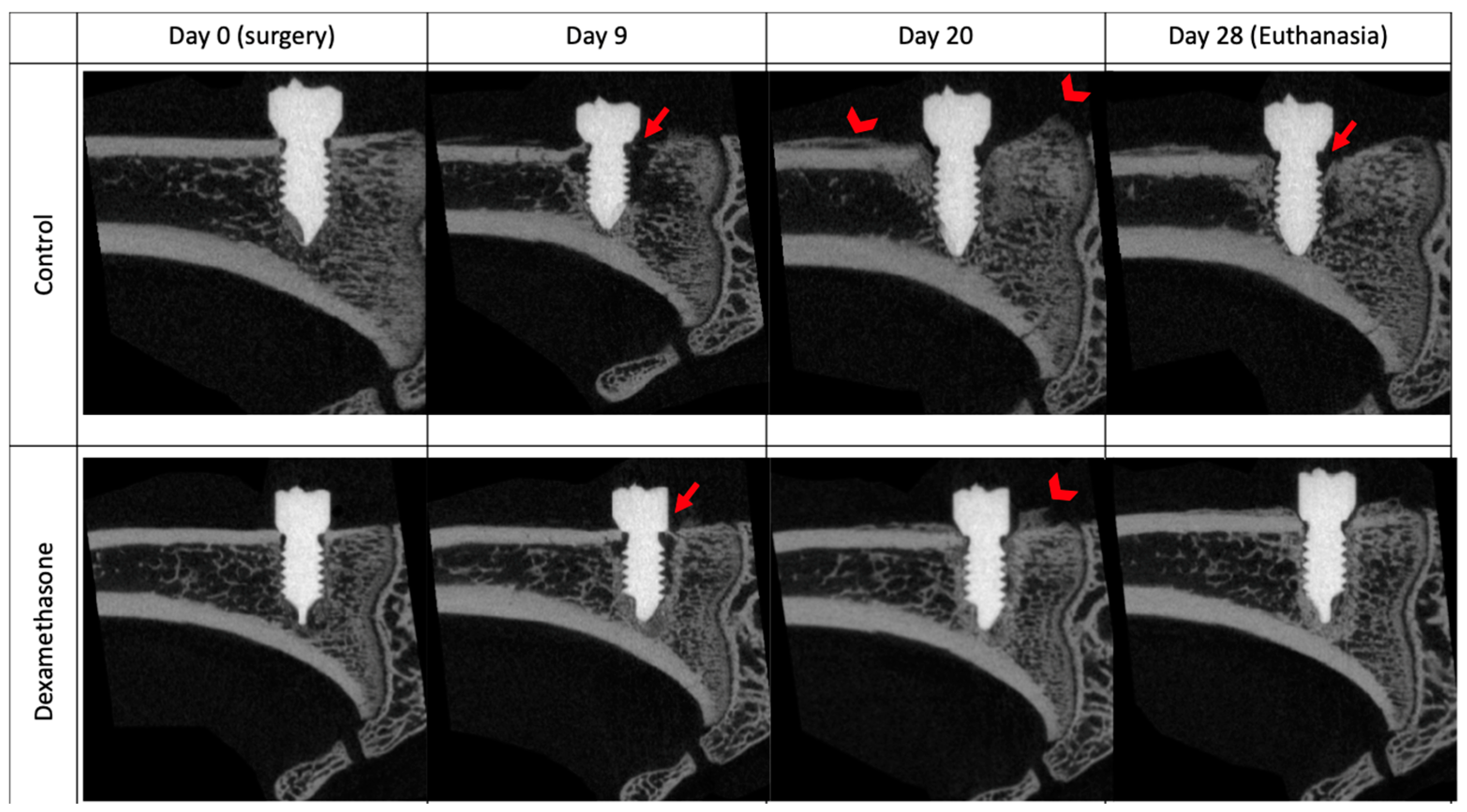 Microorganisms 12 01134 g005