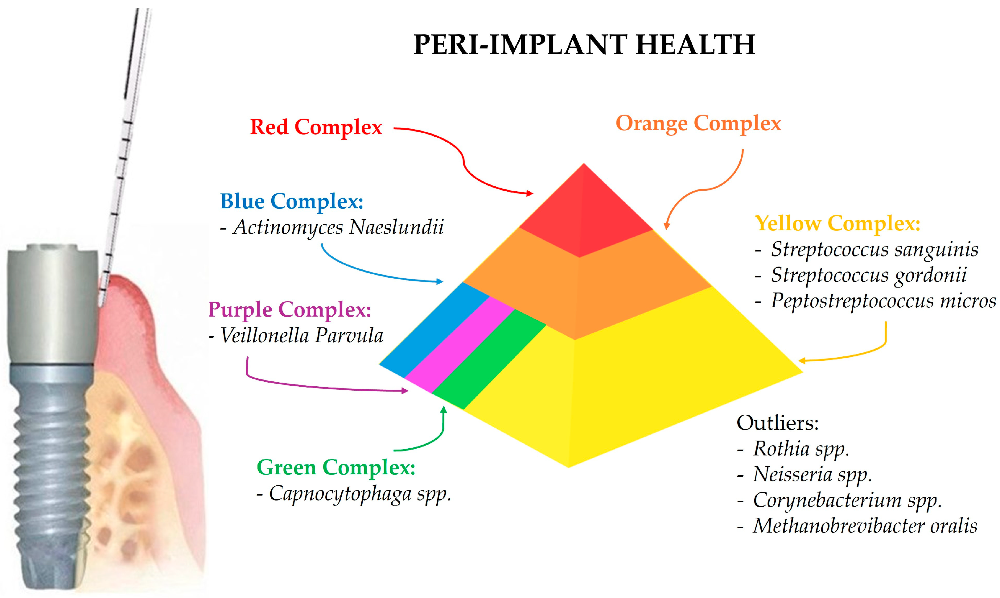 Microorganisms 12 01137 g001