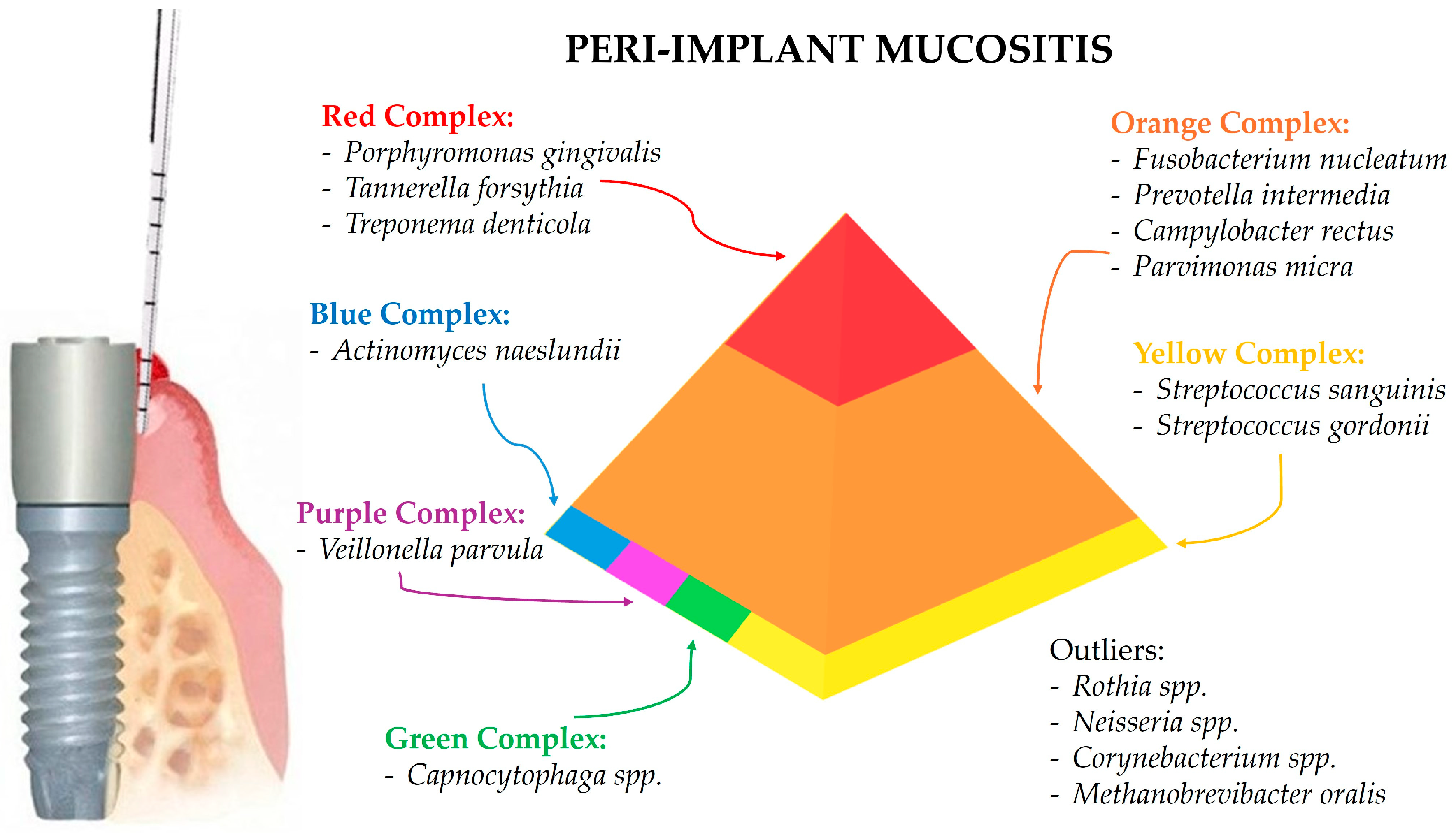 Microorganisms 12 01137 g002