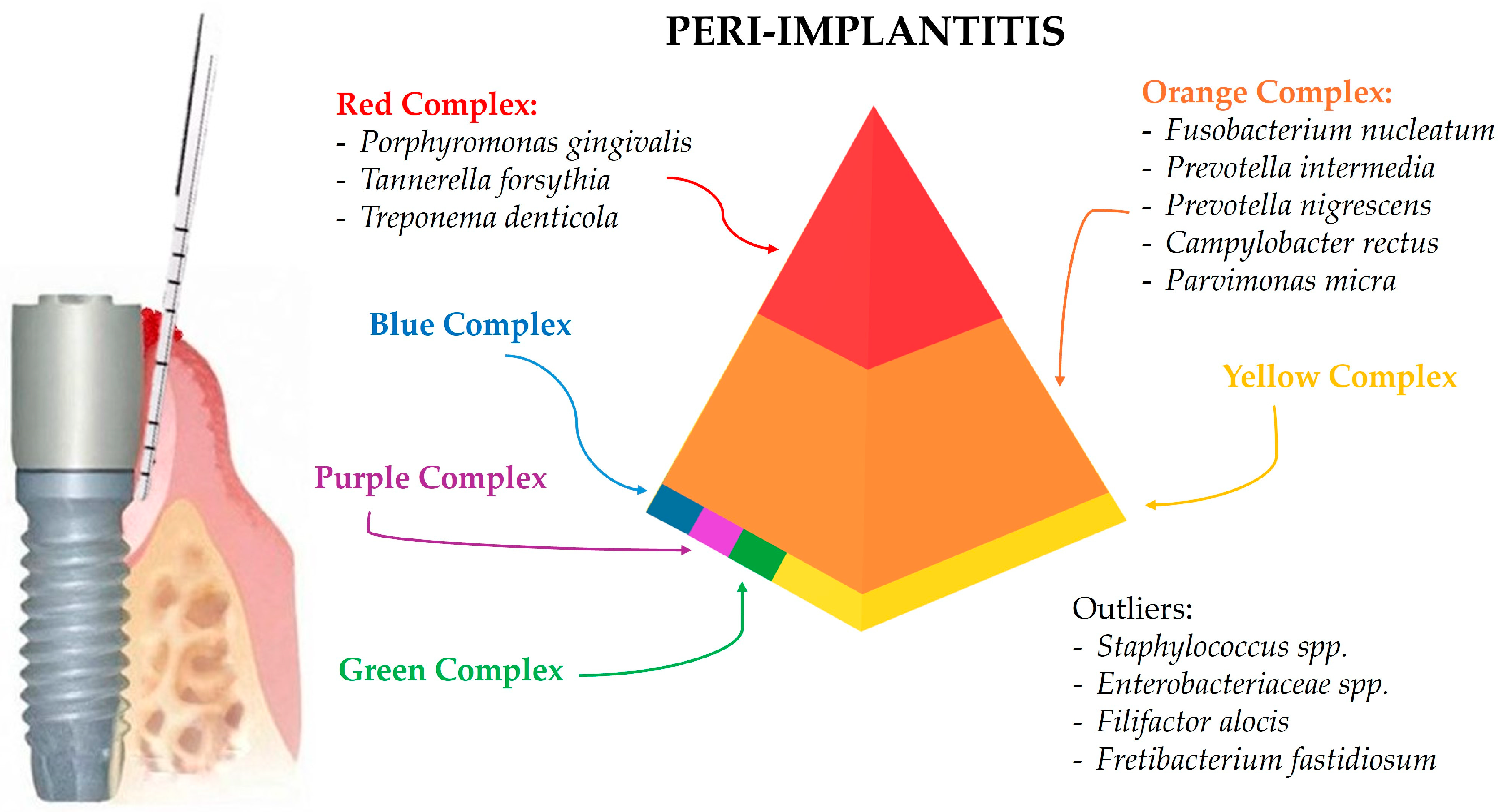 Microorganisms 12 01137 g003