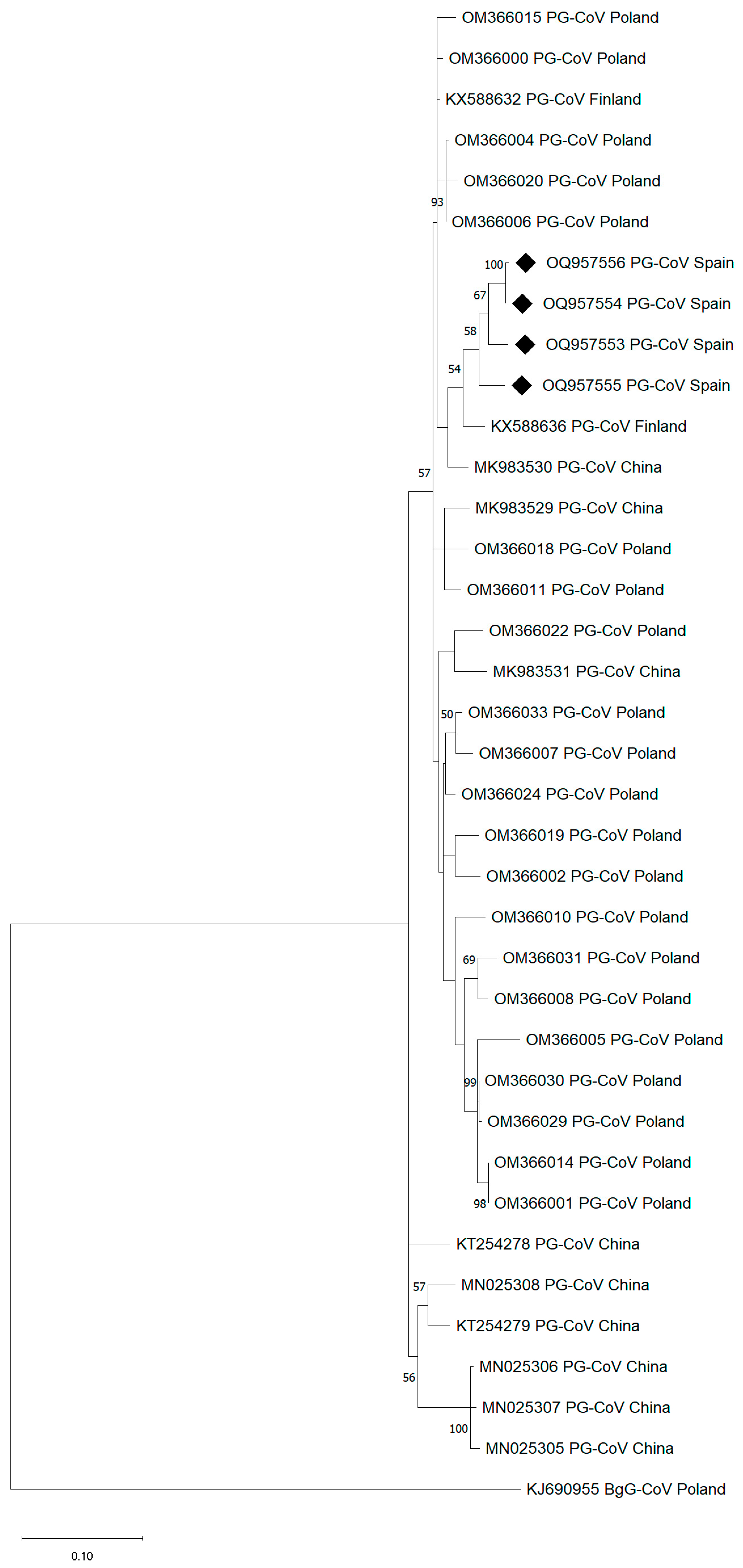 Microorganisms 12 01143 g001