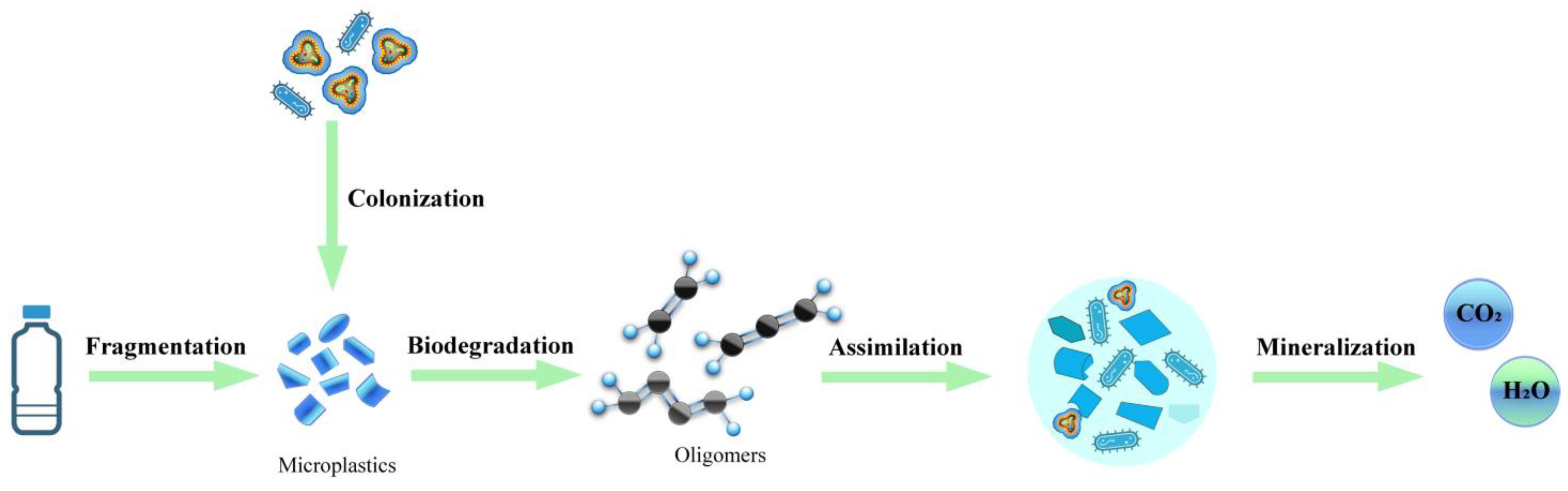 Soil Microplastic Pollution and Microbial Breeding