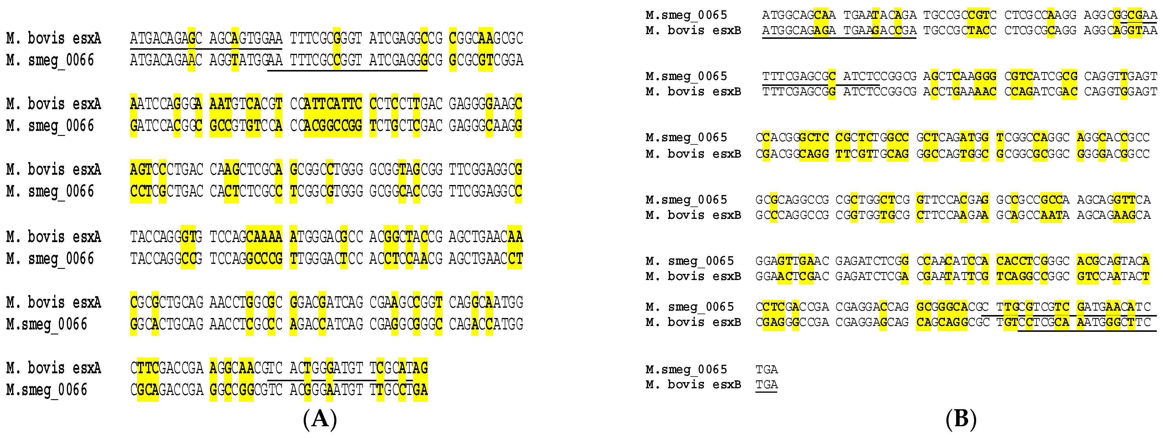 Microorganisms 12 01151 g001