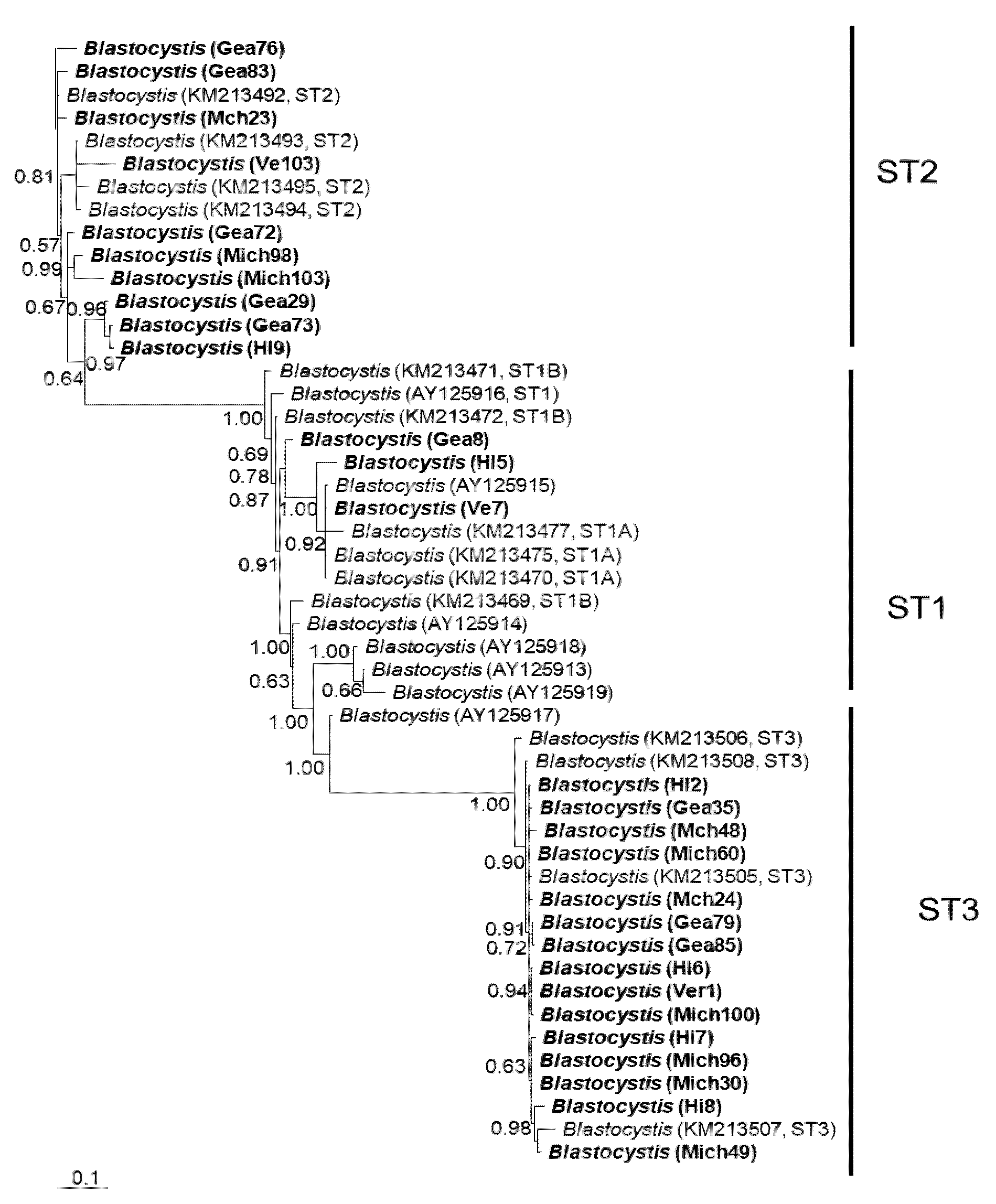 Microorganisms 12 01152 g001