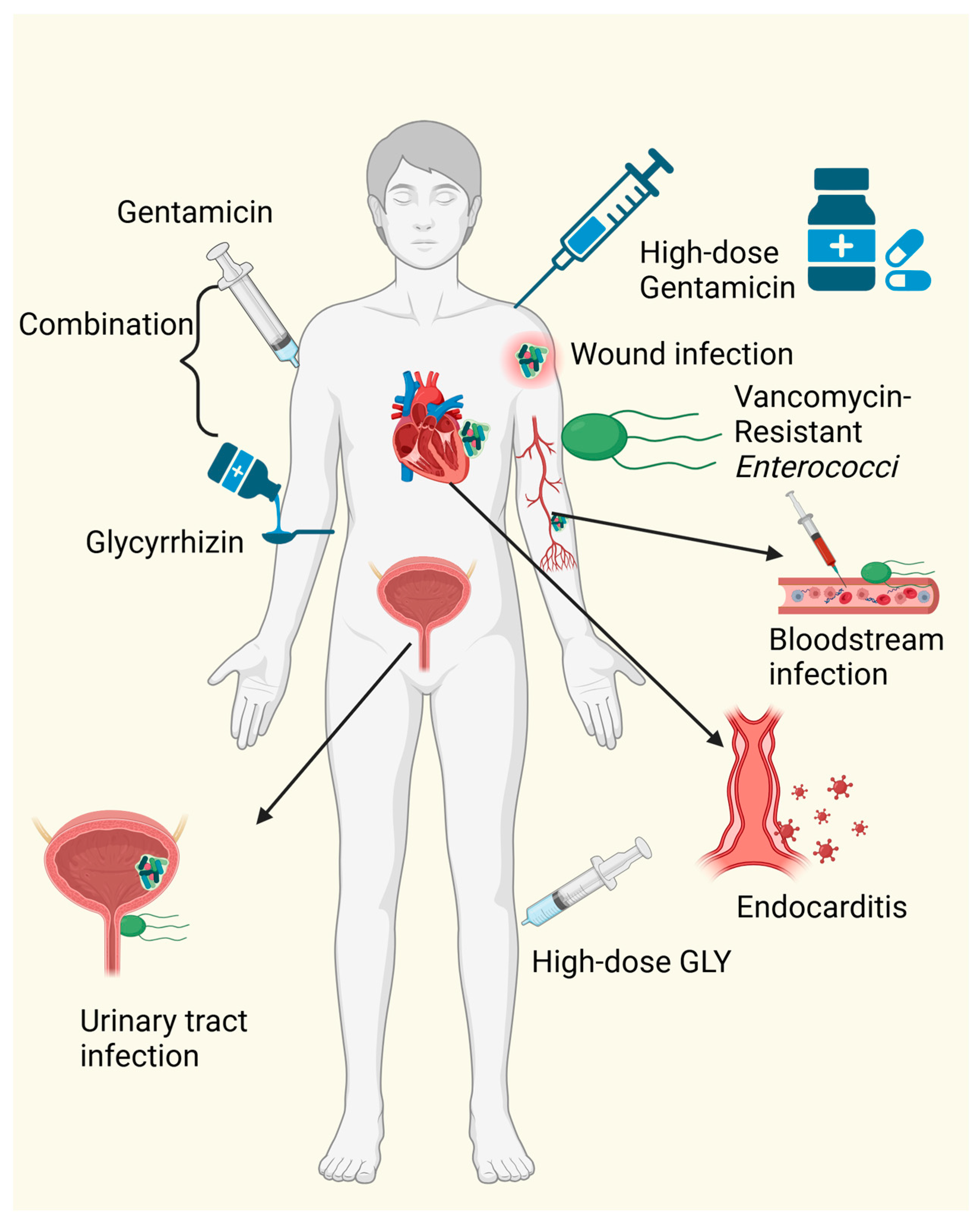 Microorganisms 12 01155 g002