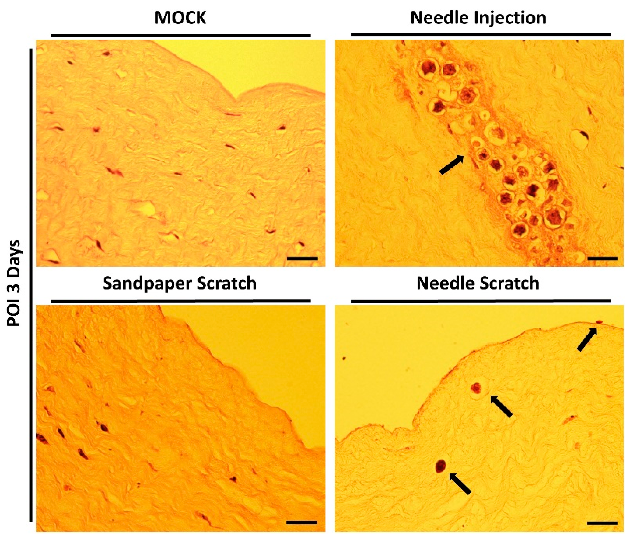 Microorganisms 12 01161 g004