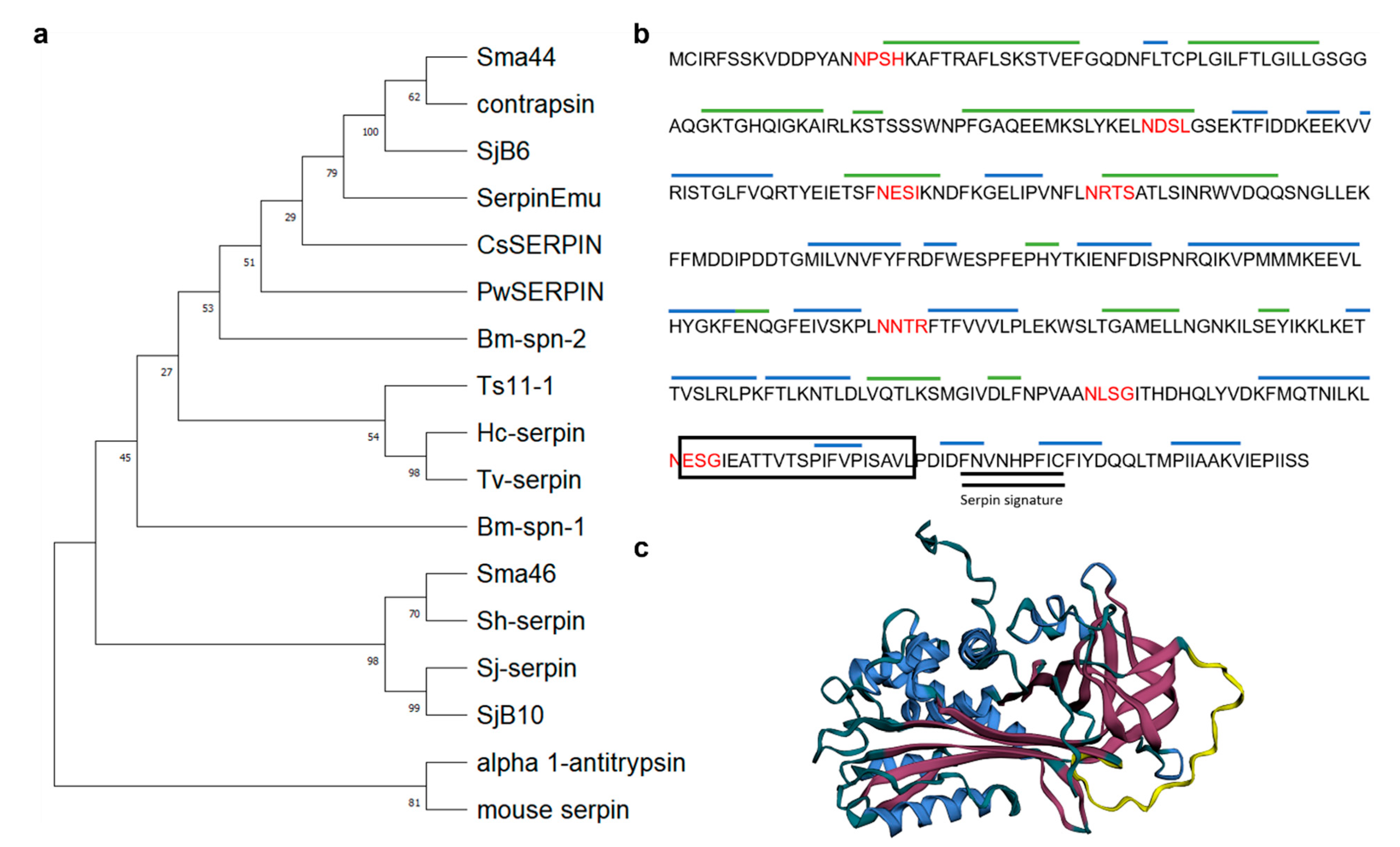Microorganisms 12 01164 g001