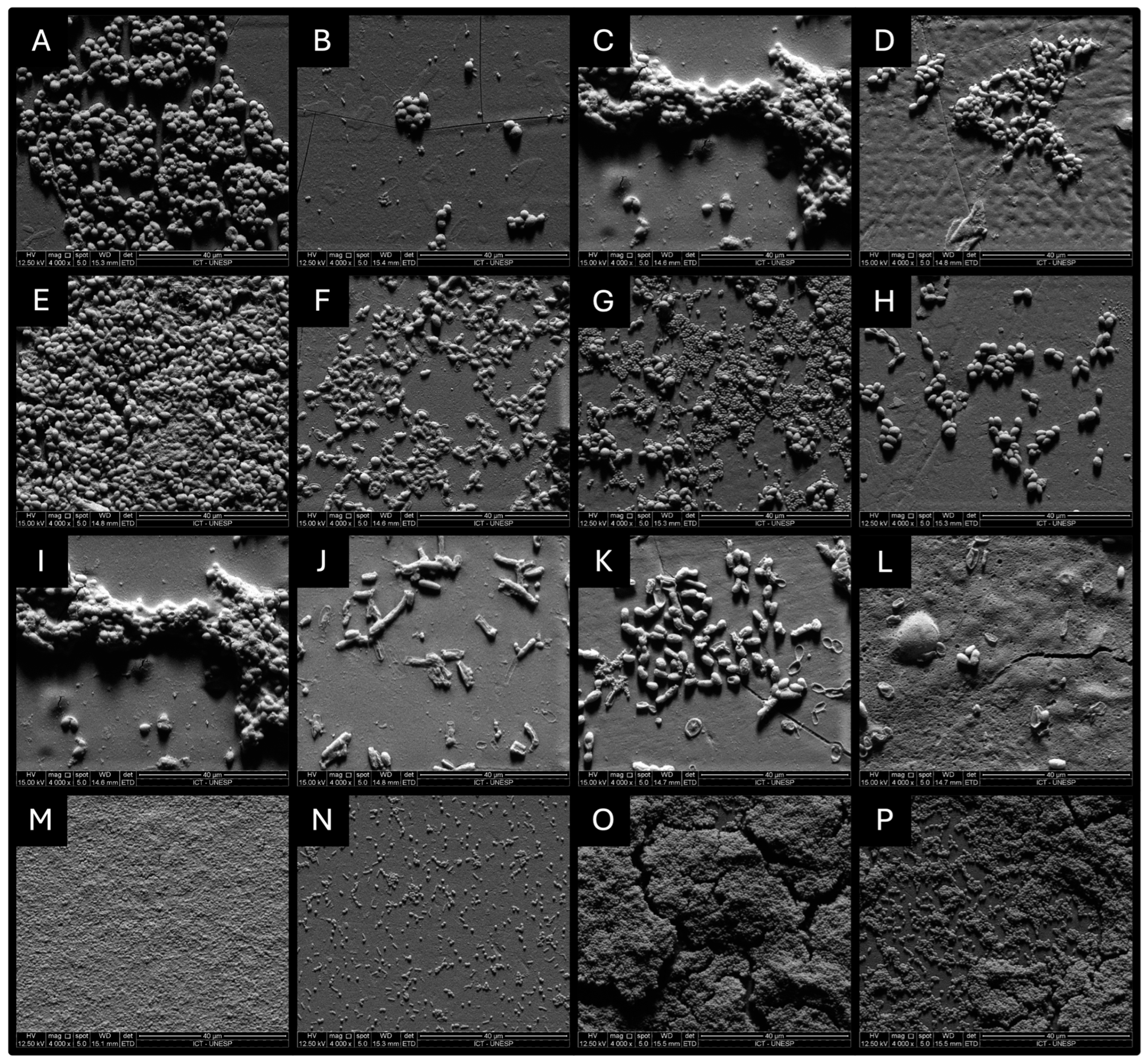 Microorganisms 12 01165 g003 Microorganisms 12 01165 g003