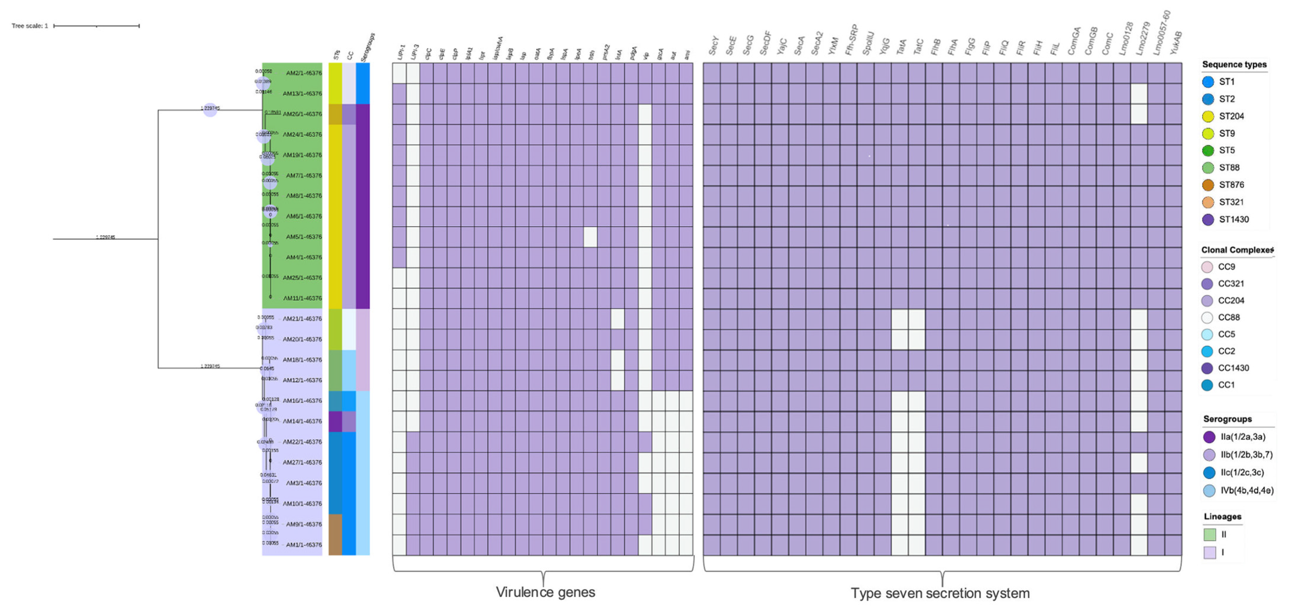 Microorganisms 12 01166 g002