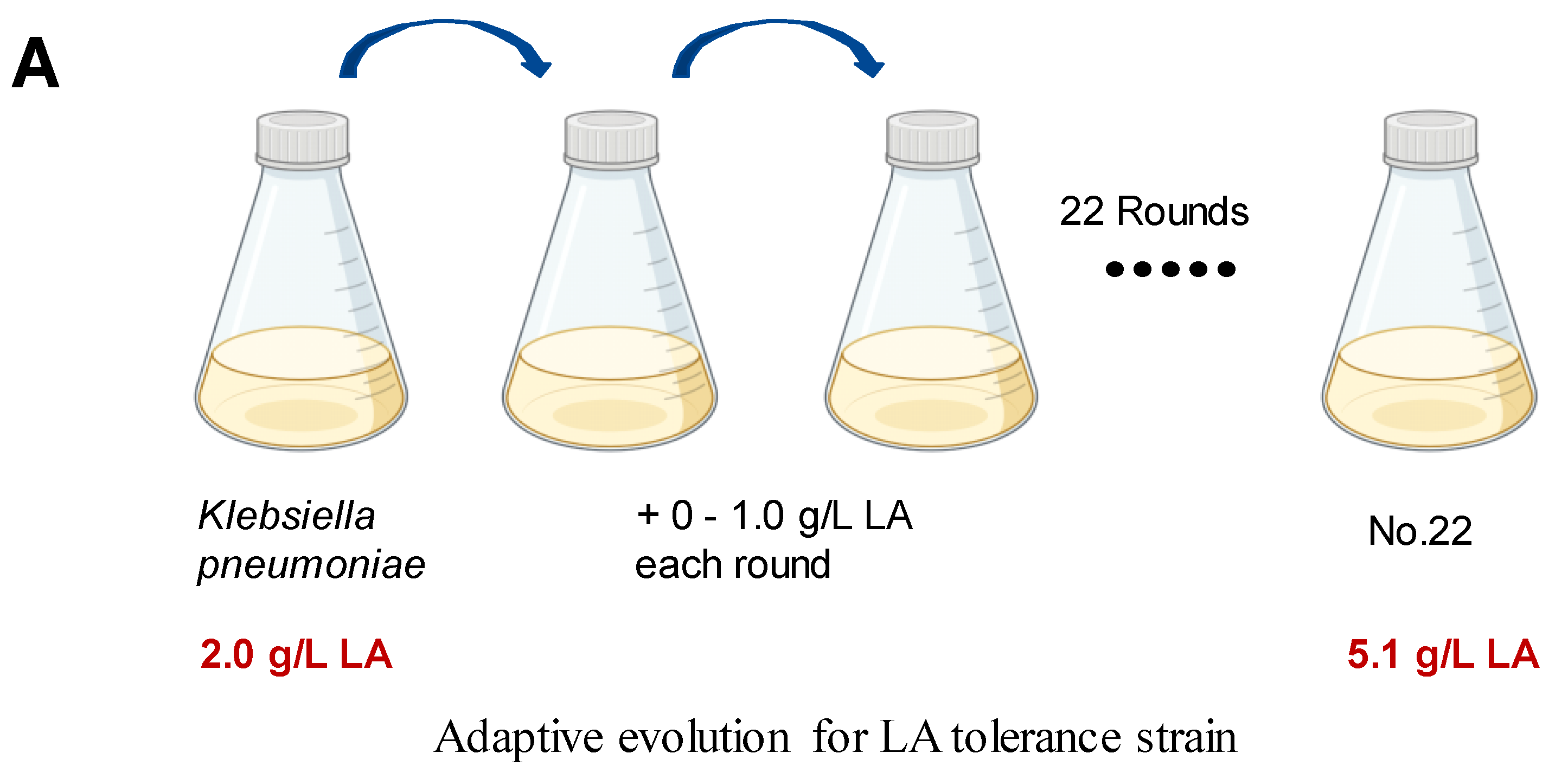 Microorganisms 12 01167 g002a