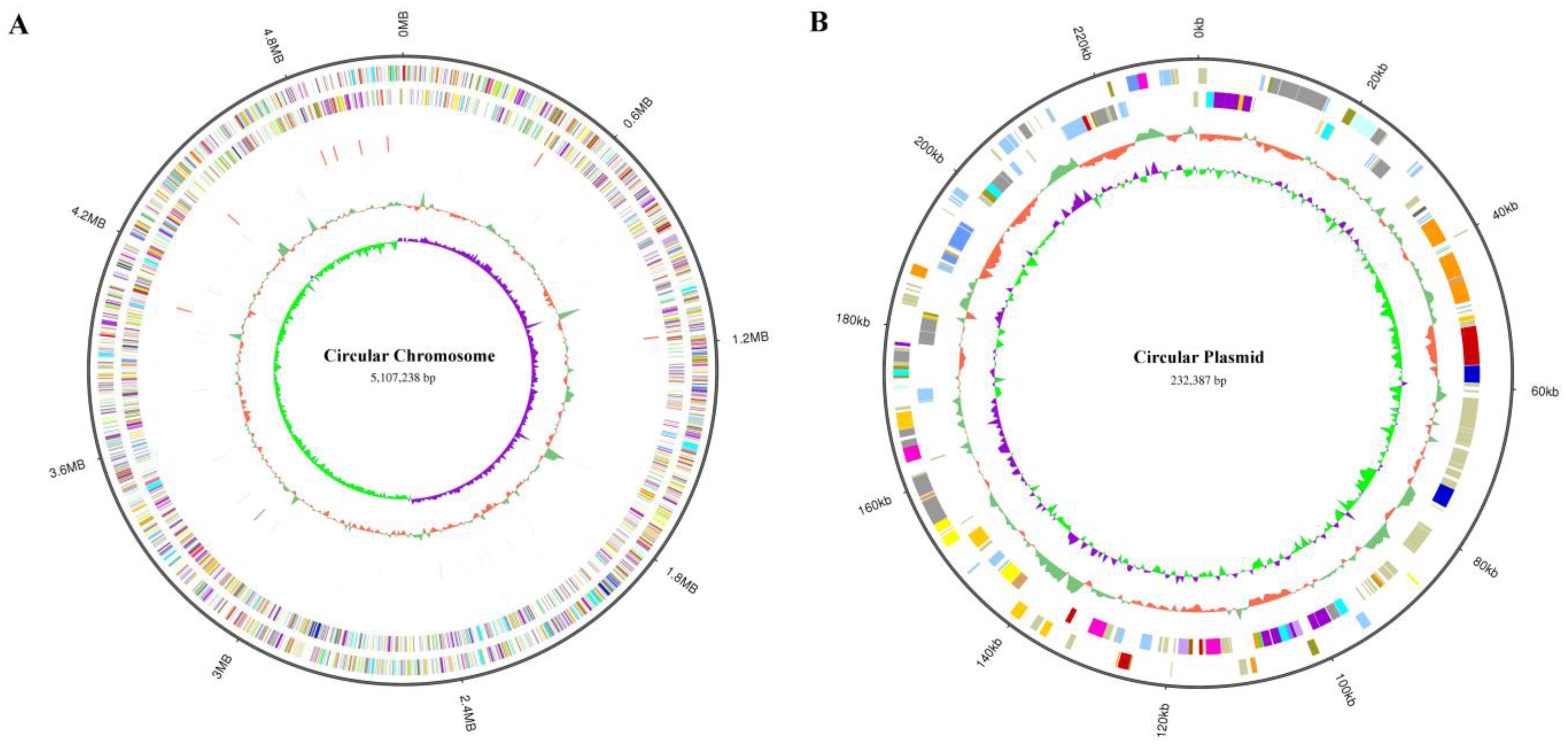 Microorganisms 12 01167 g003