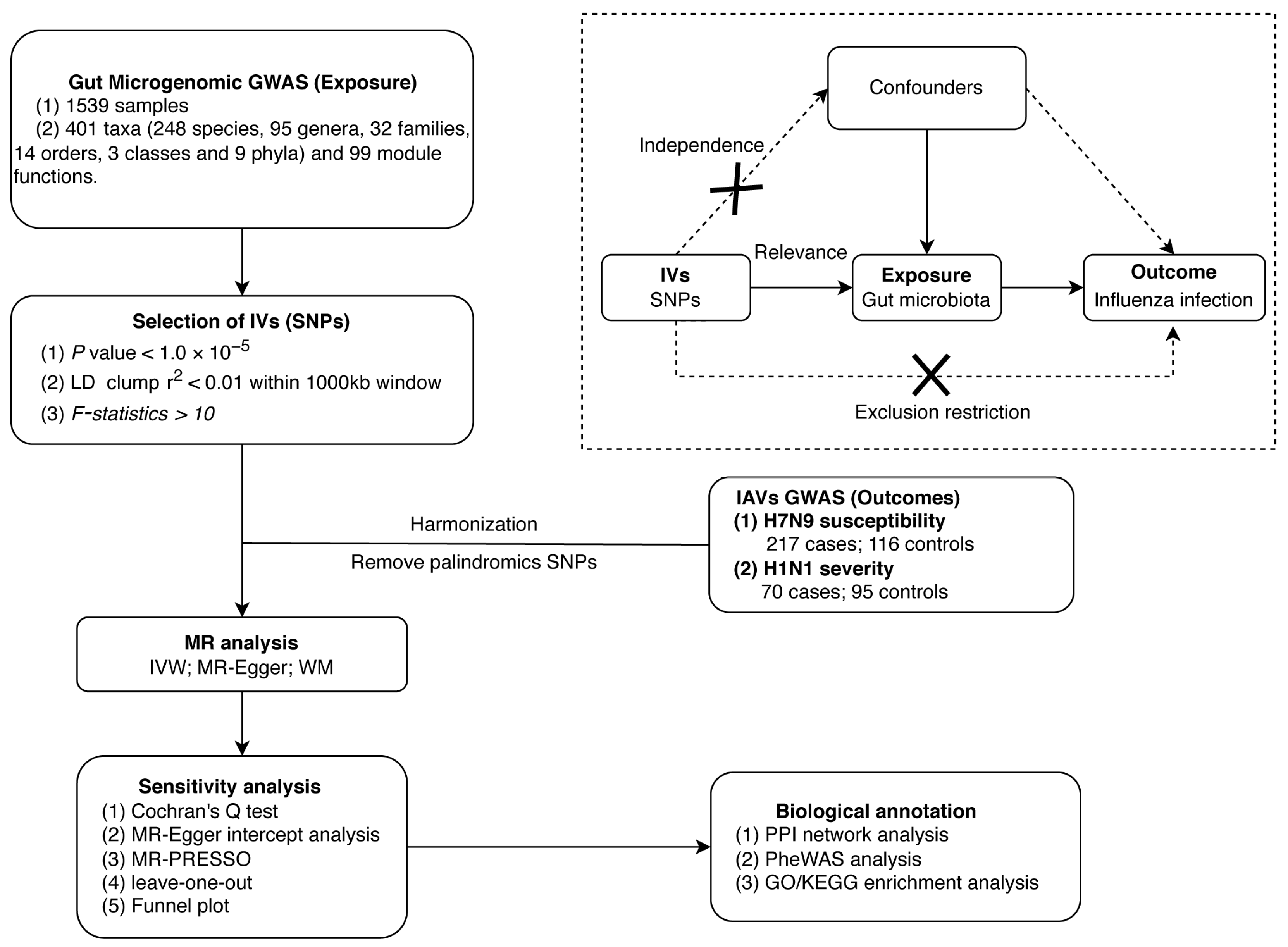 Microorganisms 12 01170 g001