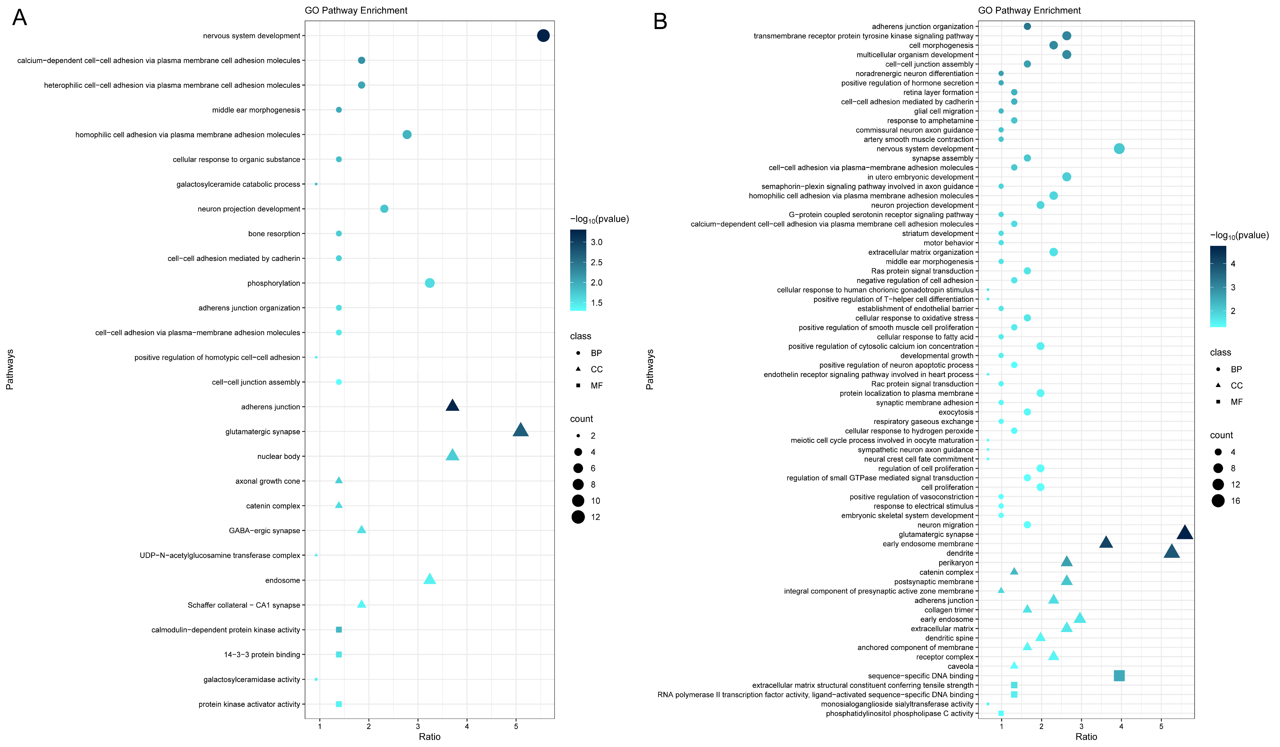 Microorganisms 12 01170 g005