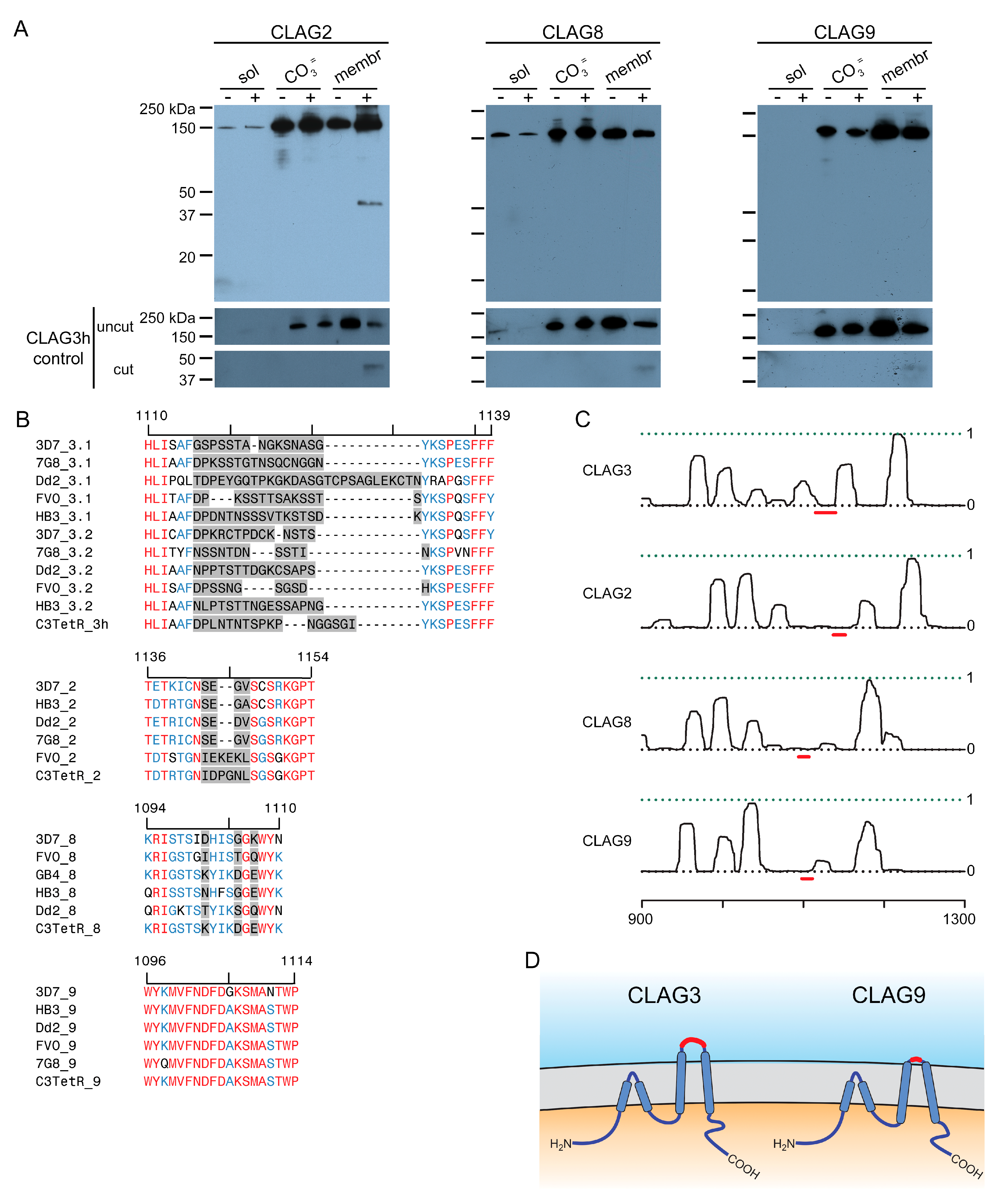 Microorganisms 12 01172 g002 Microorganisms 12 01172 g002