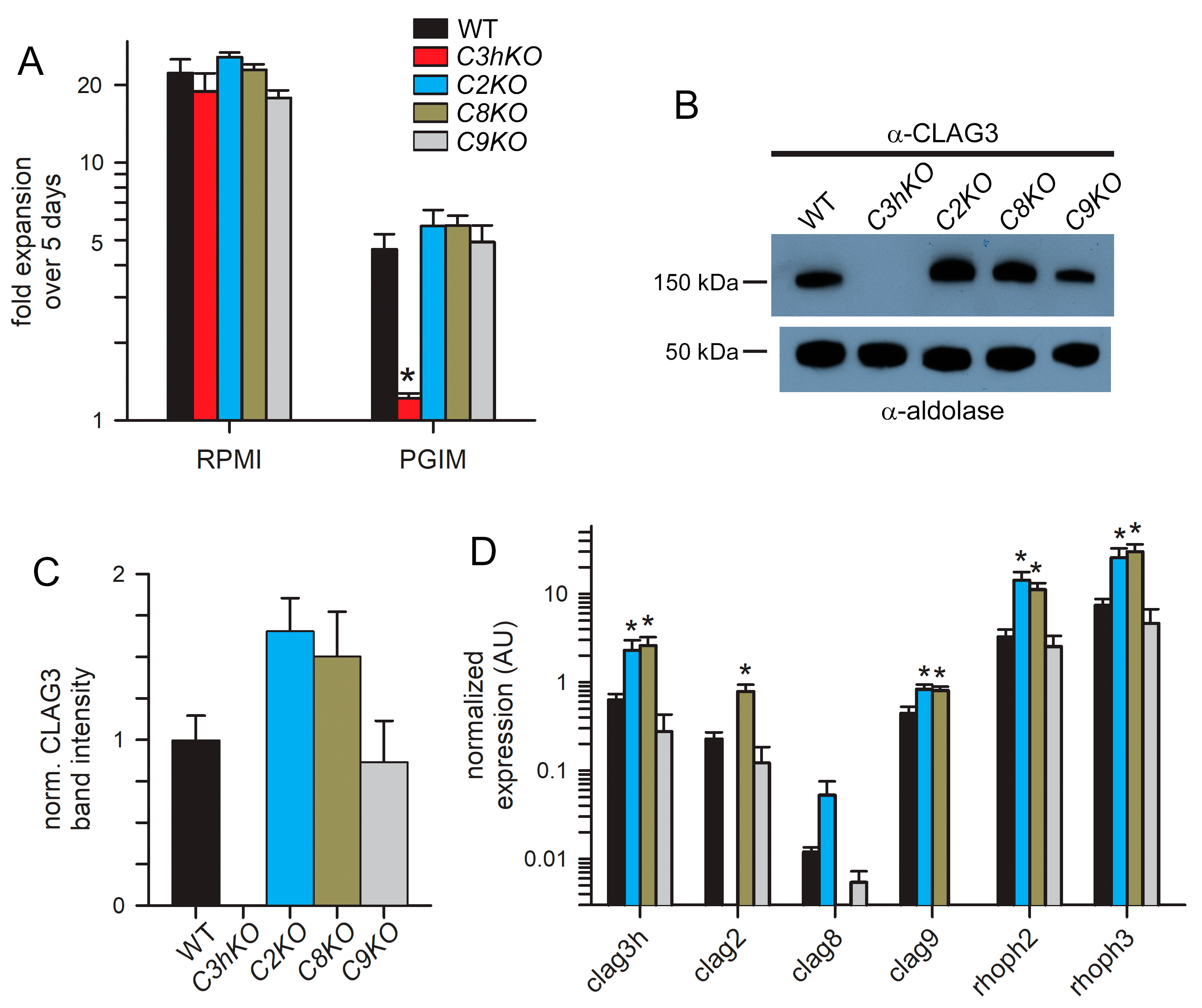 Microorganisms 12 01172 g003 Microorganisms 12 01172 g003