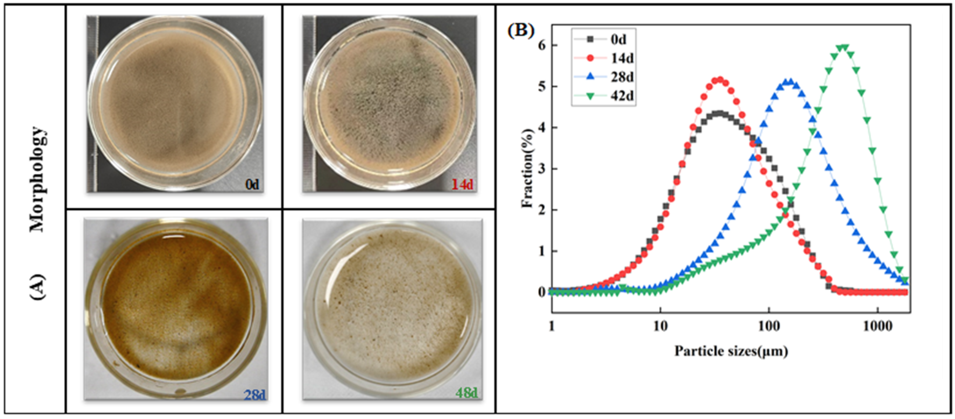Microorganisms 12 01173 g001