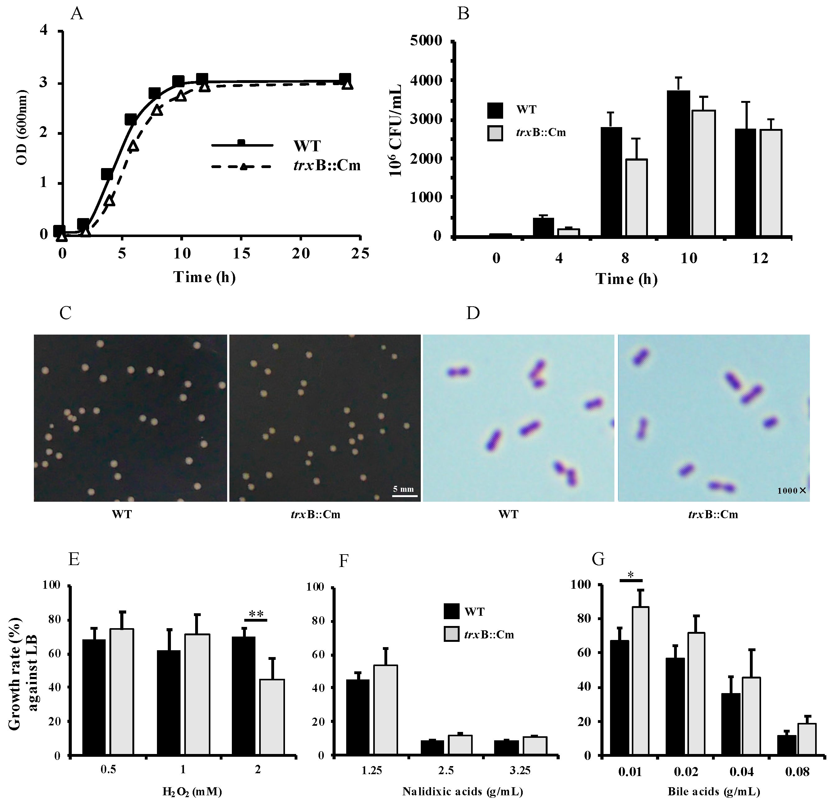 Microorganisms 12 01180 g001