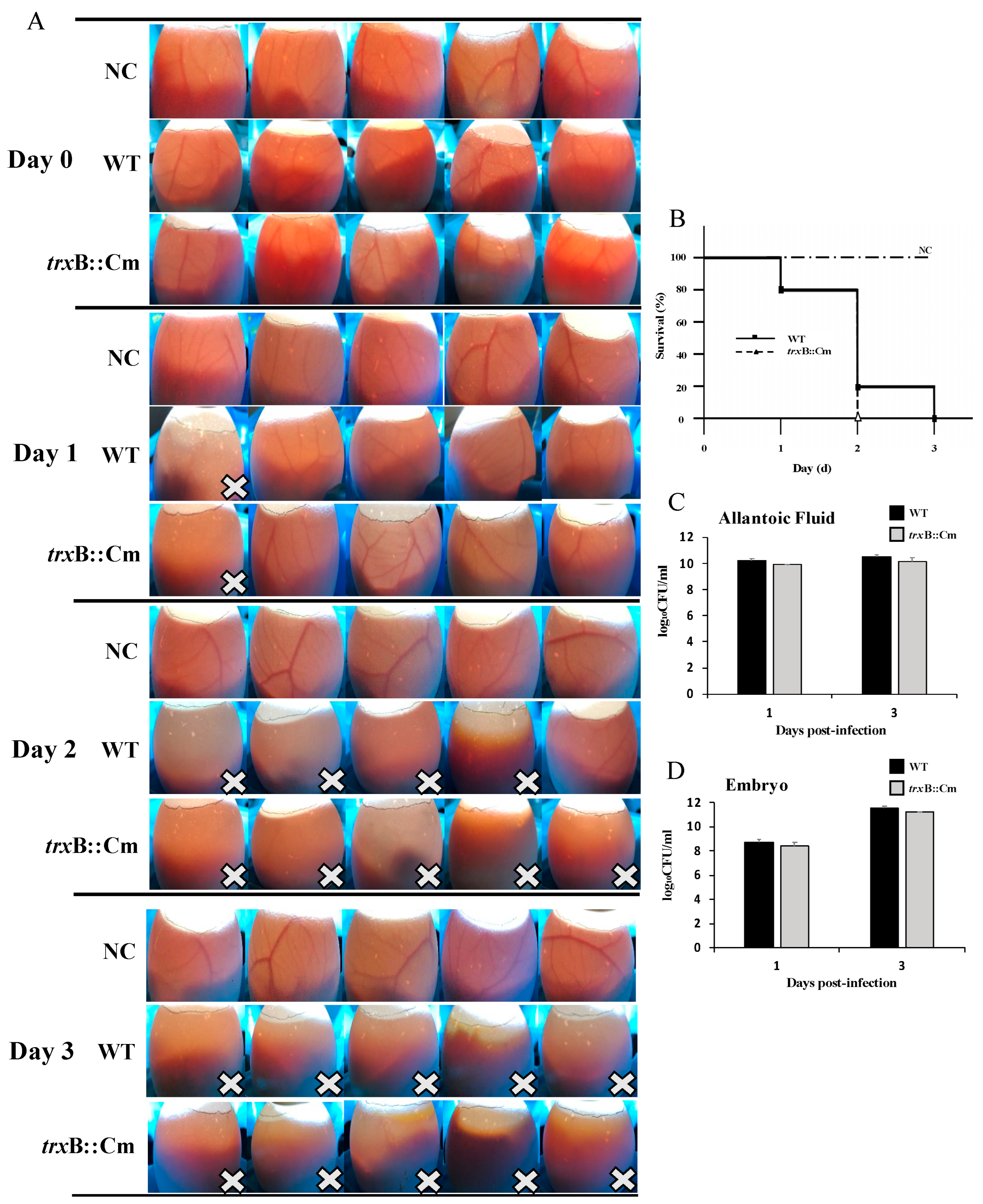 Microorganisms 12 01180 g002