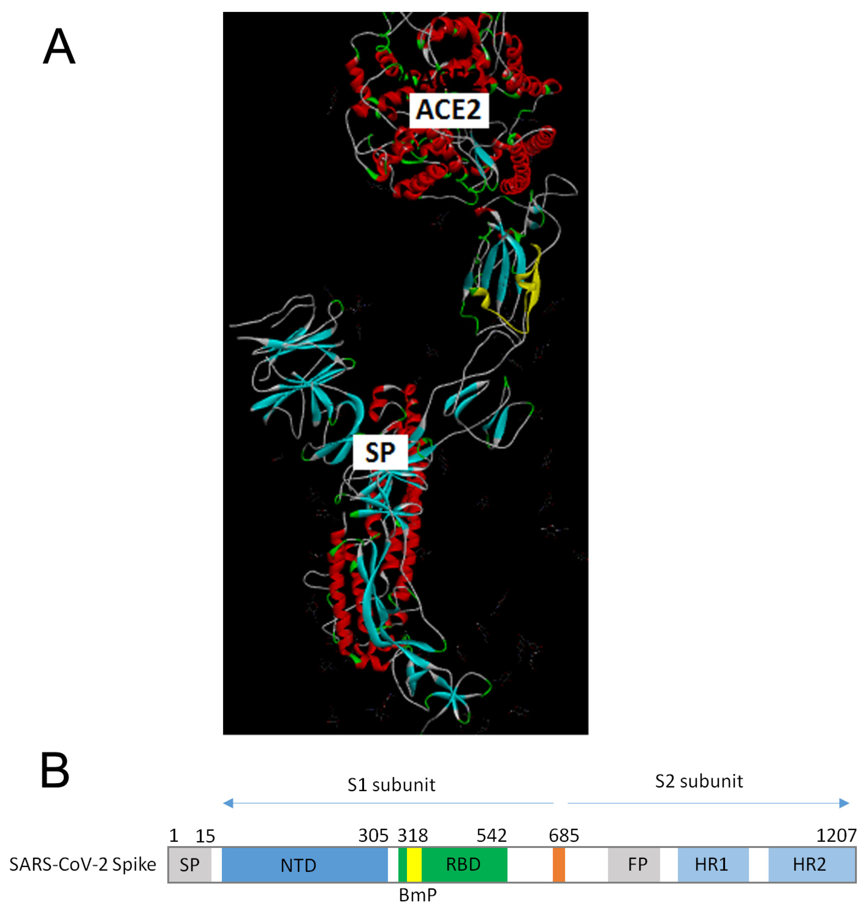 Microorganisms 12 01185 g003
