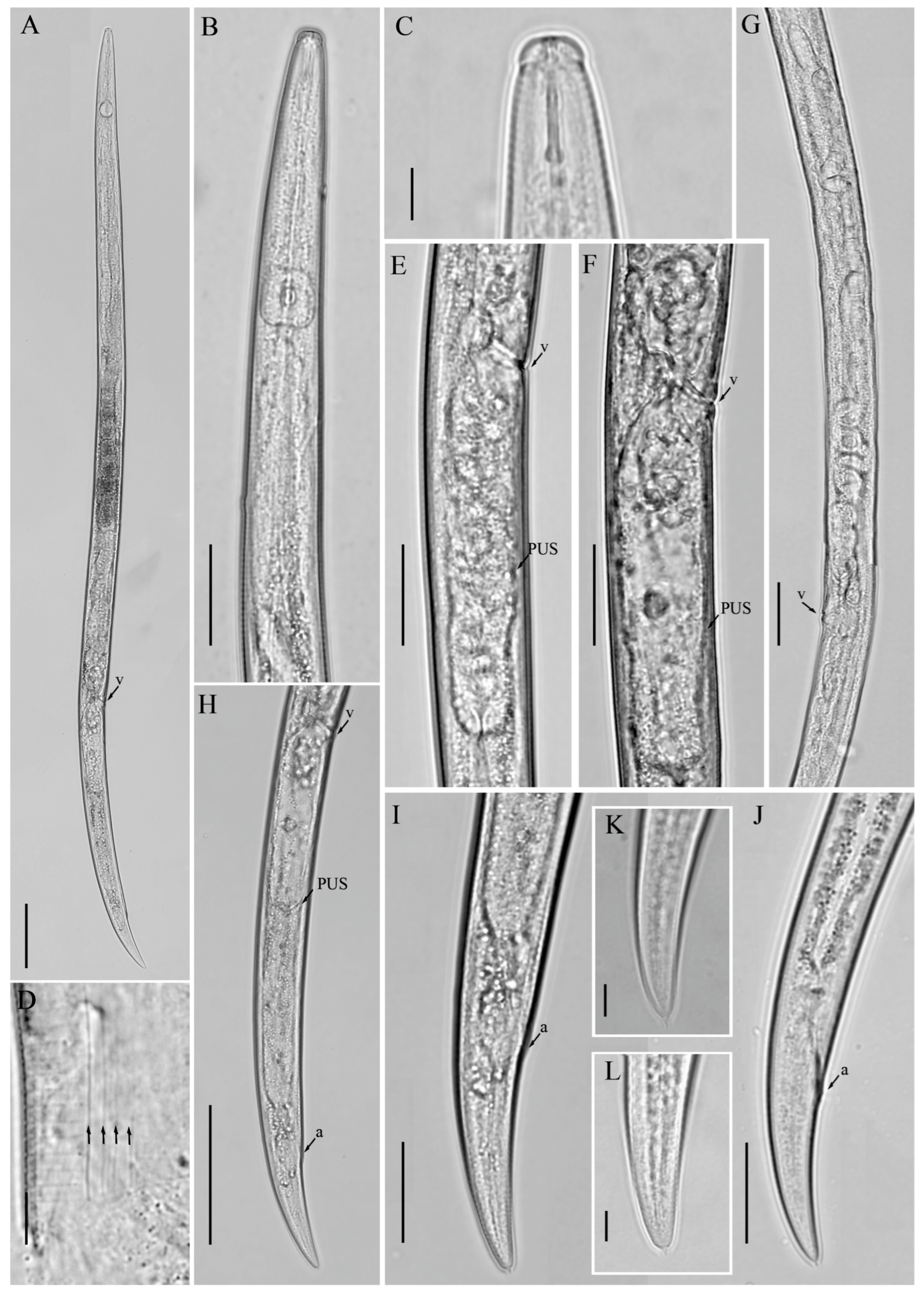 Microorganisms 12 01187 g002