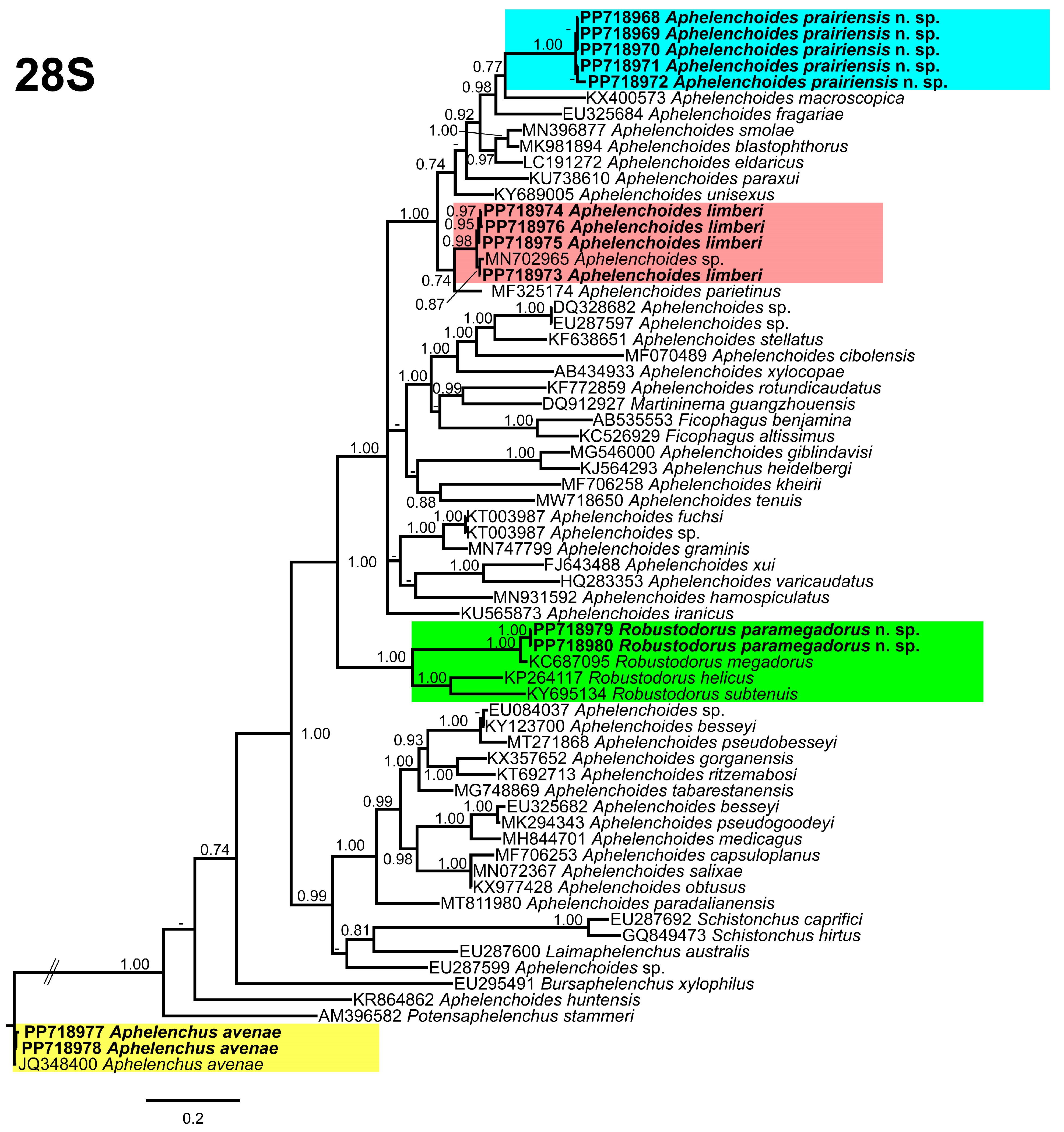 Microorganisms 12 01187 g009
