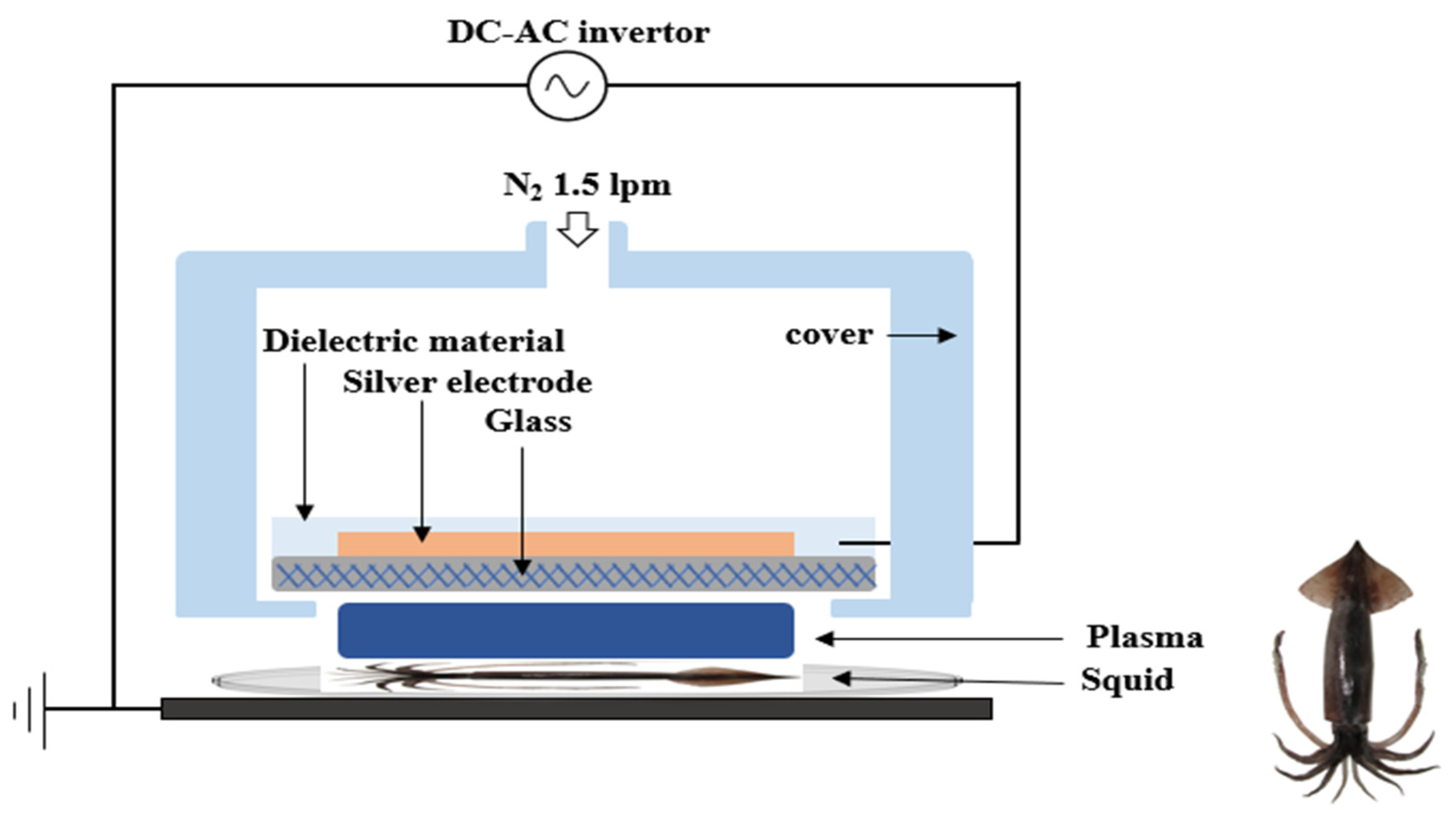 Microorganisms 12 01188 g001