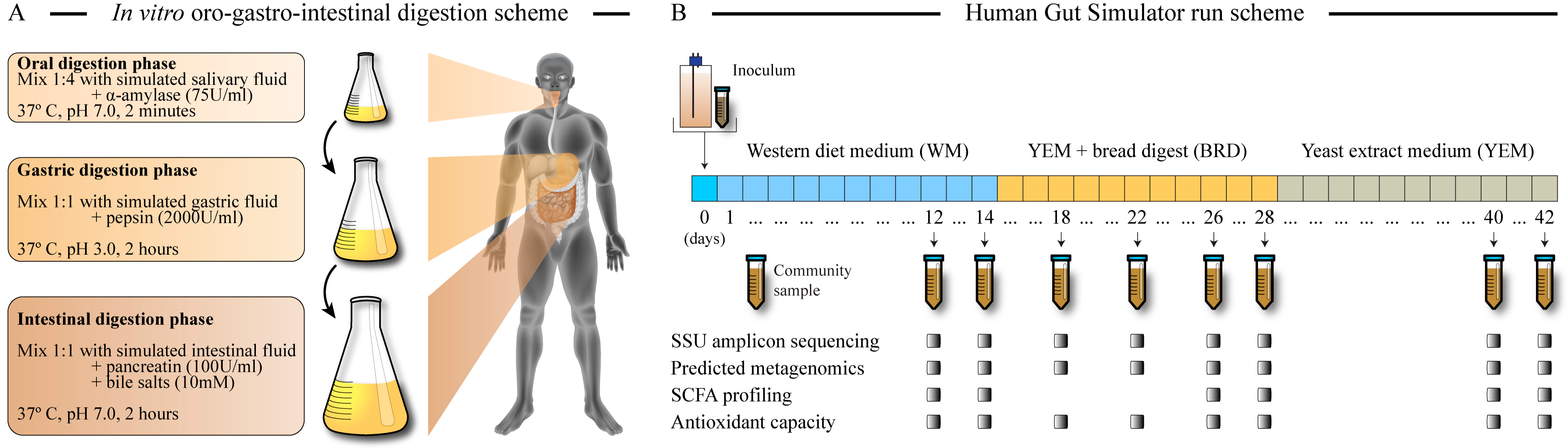Microorganisms 12 01189 g001