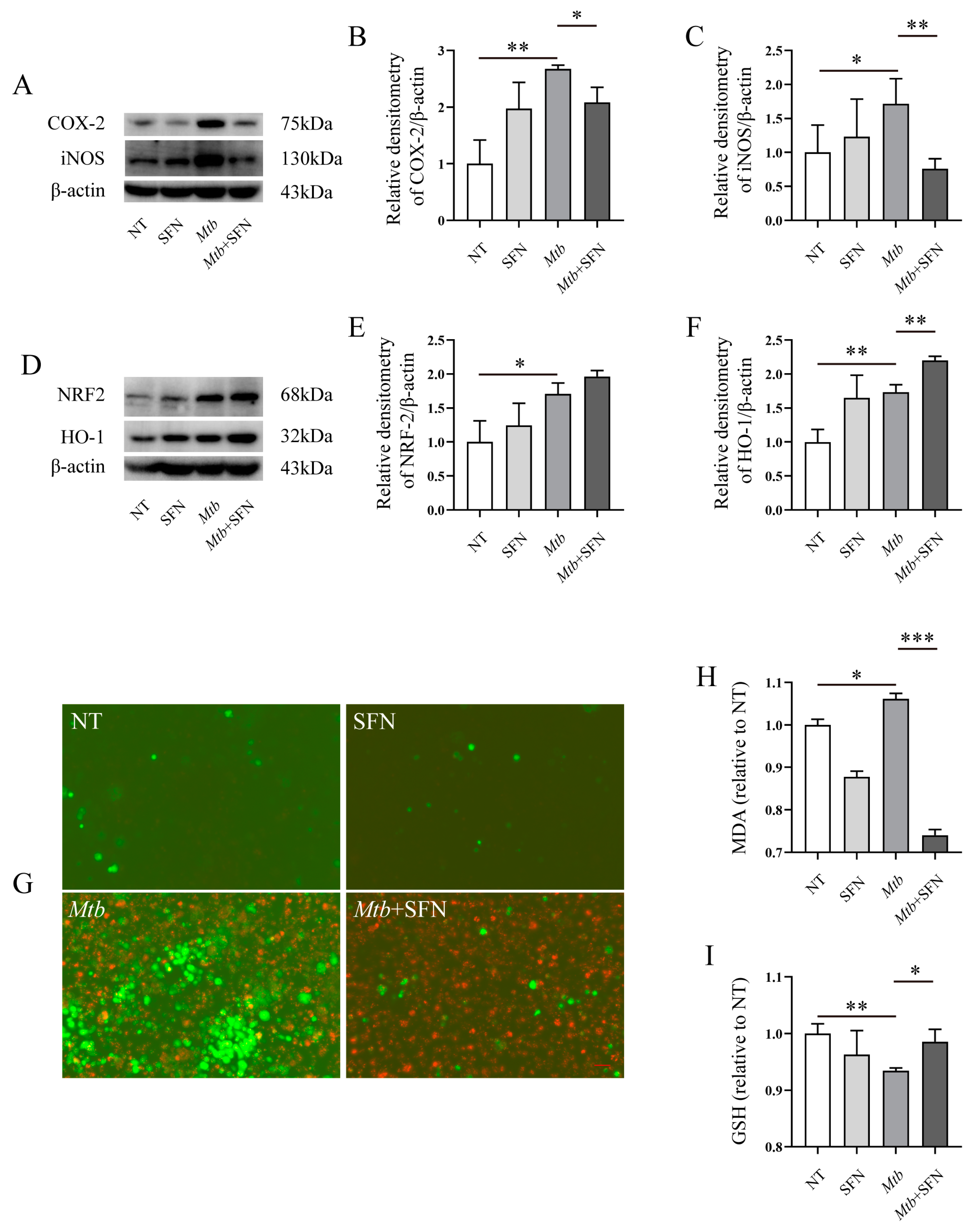 Microorganisms 12 01191 g003