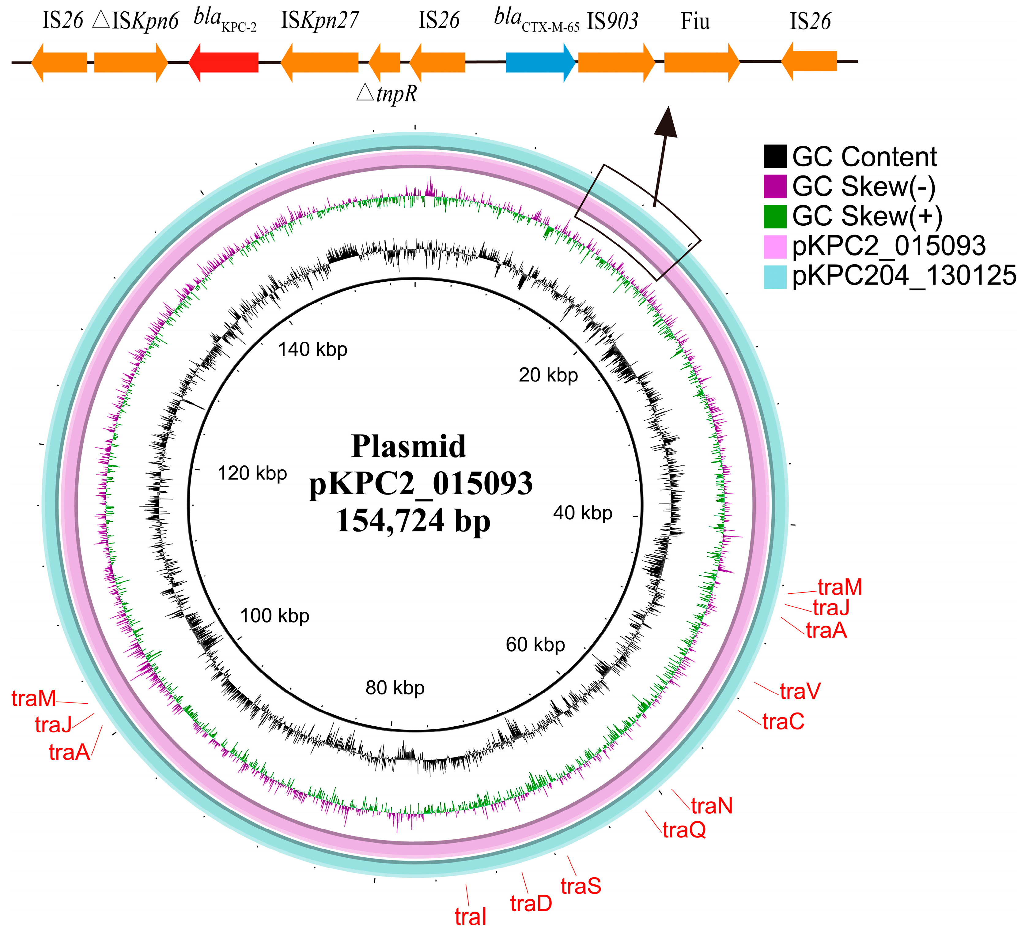 Microorganisms 12 01193 g001