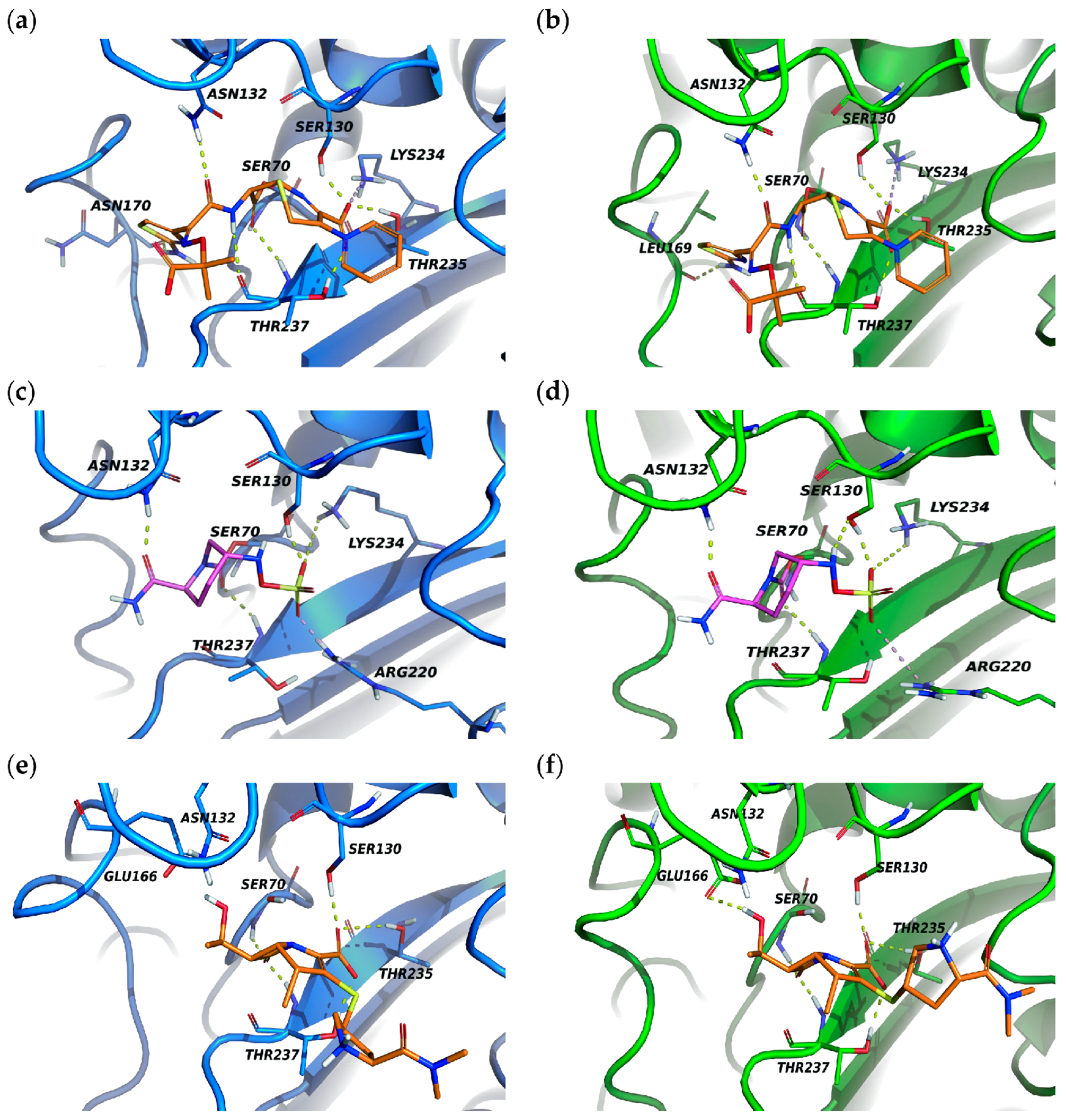 Microorganisms 12 01193 g004