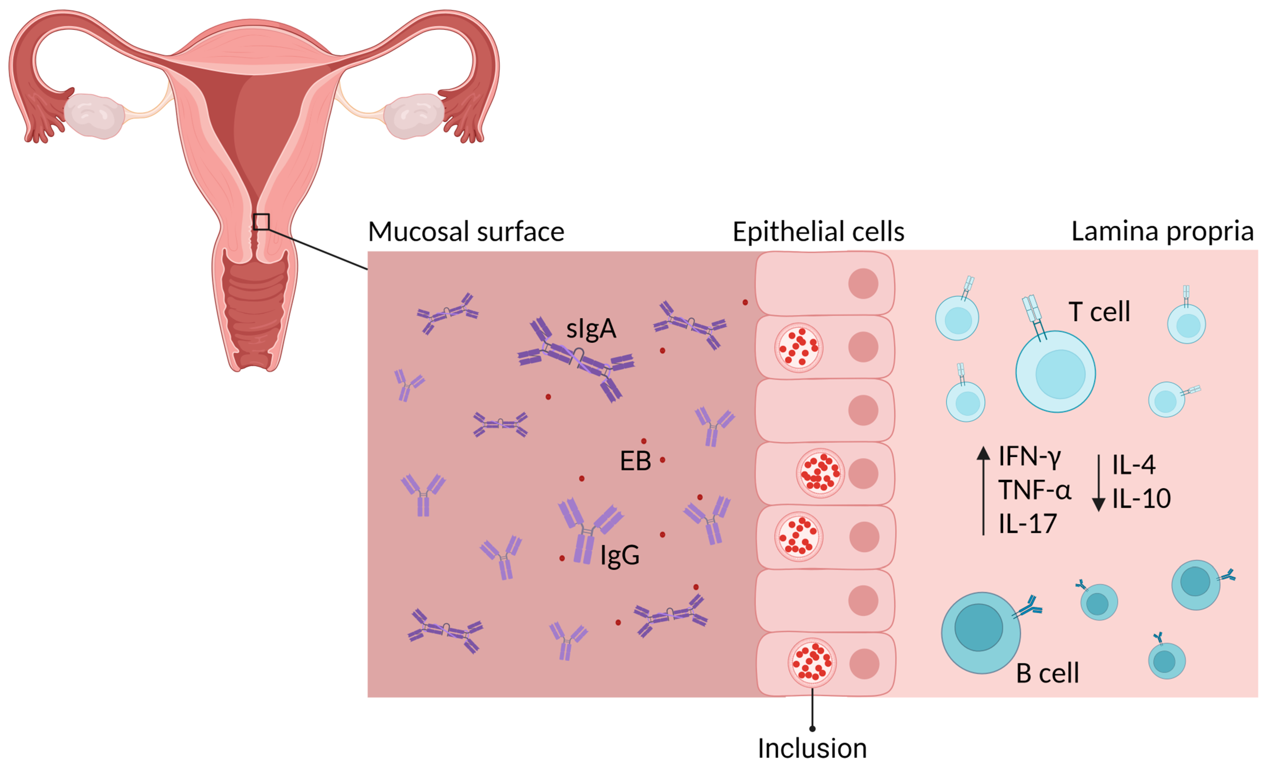 Microorganisms 12 01196 g001 Microorganisms 12 01196 g001