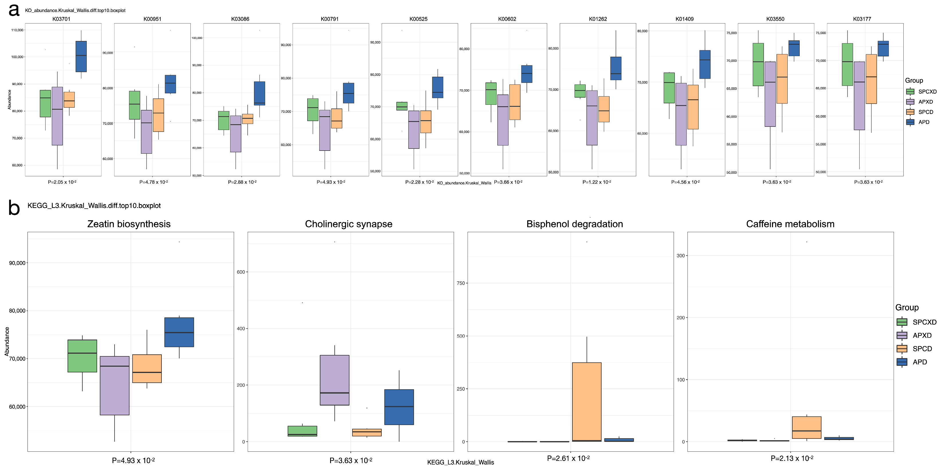 Microorganisms 12 01197 g006