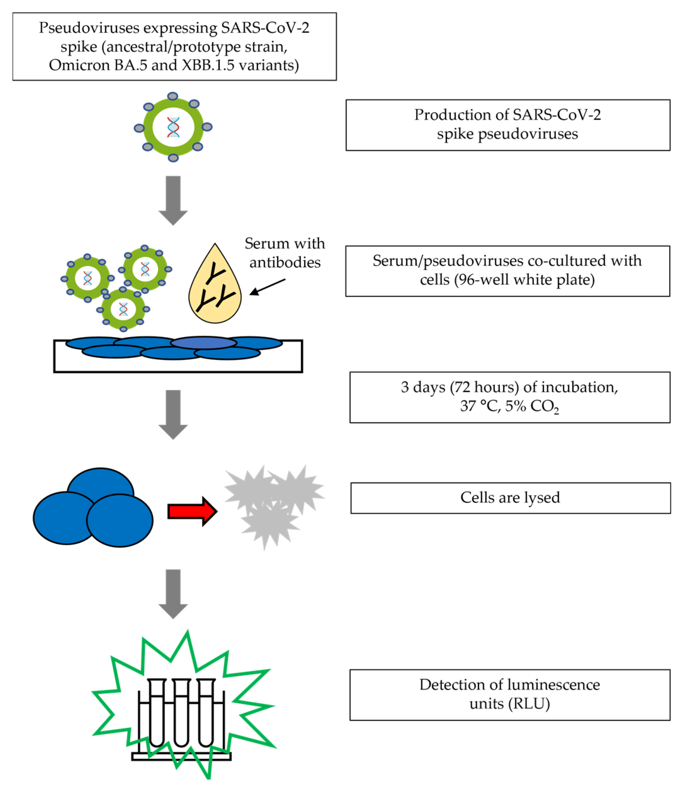 Microorganisms 12 01201 g001