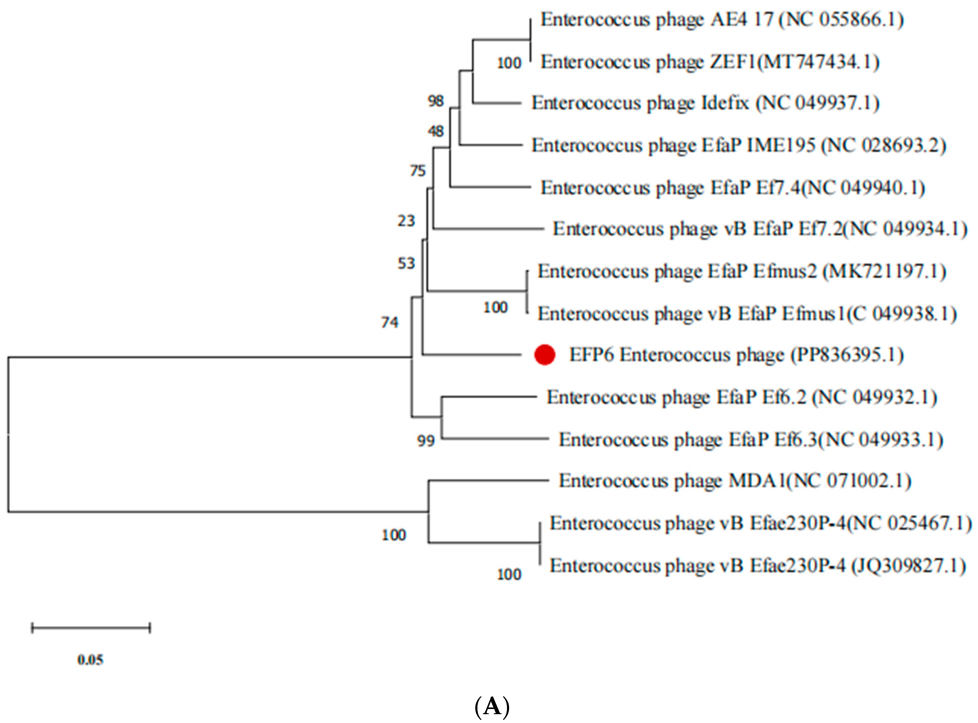 Microorganisms 12 01202 g005a