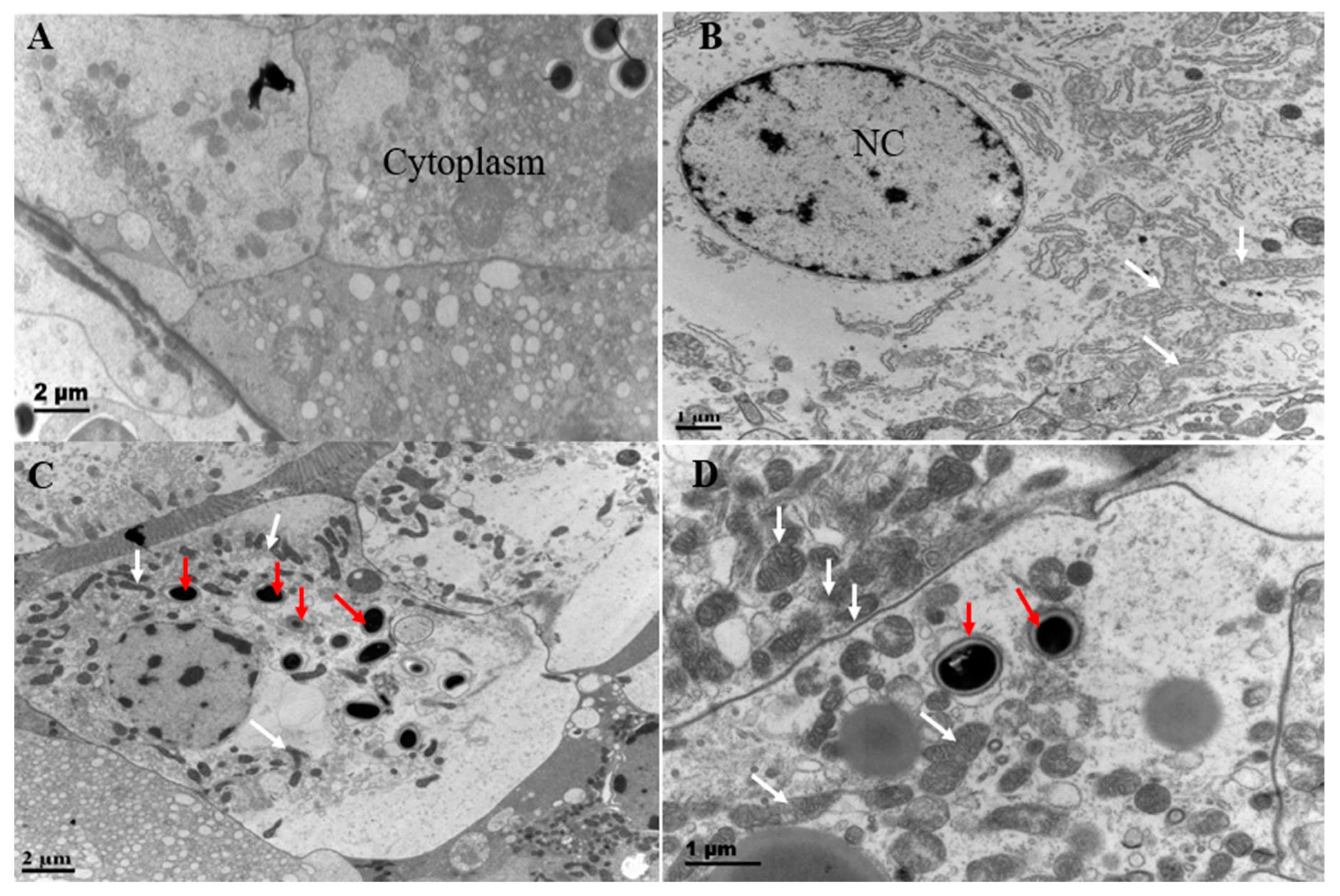 Microorganisms 12 01208 g003