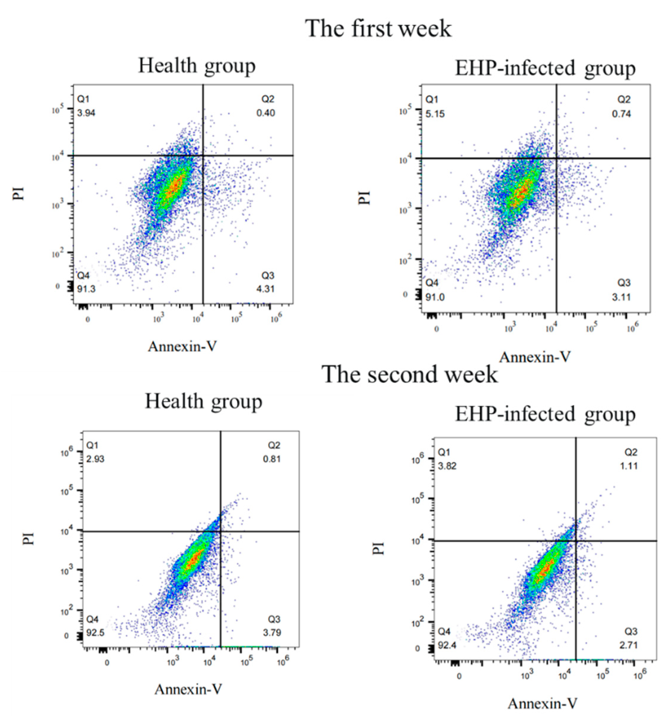 Microorganisms 12 01208 g008