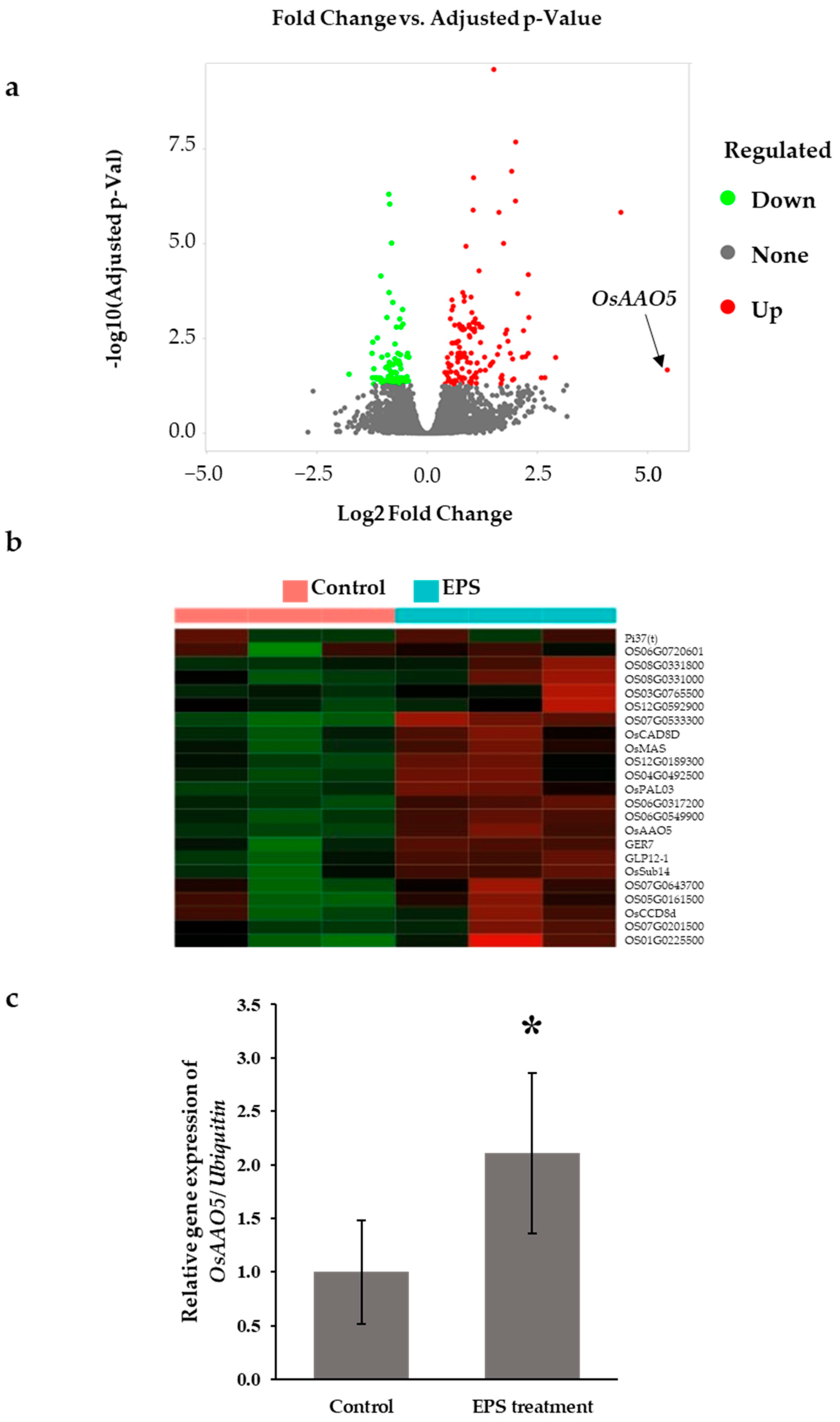 Microorganisms 12 01212 g002