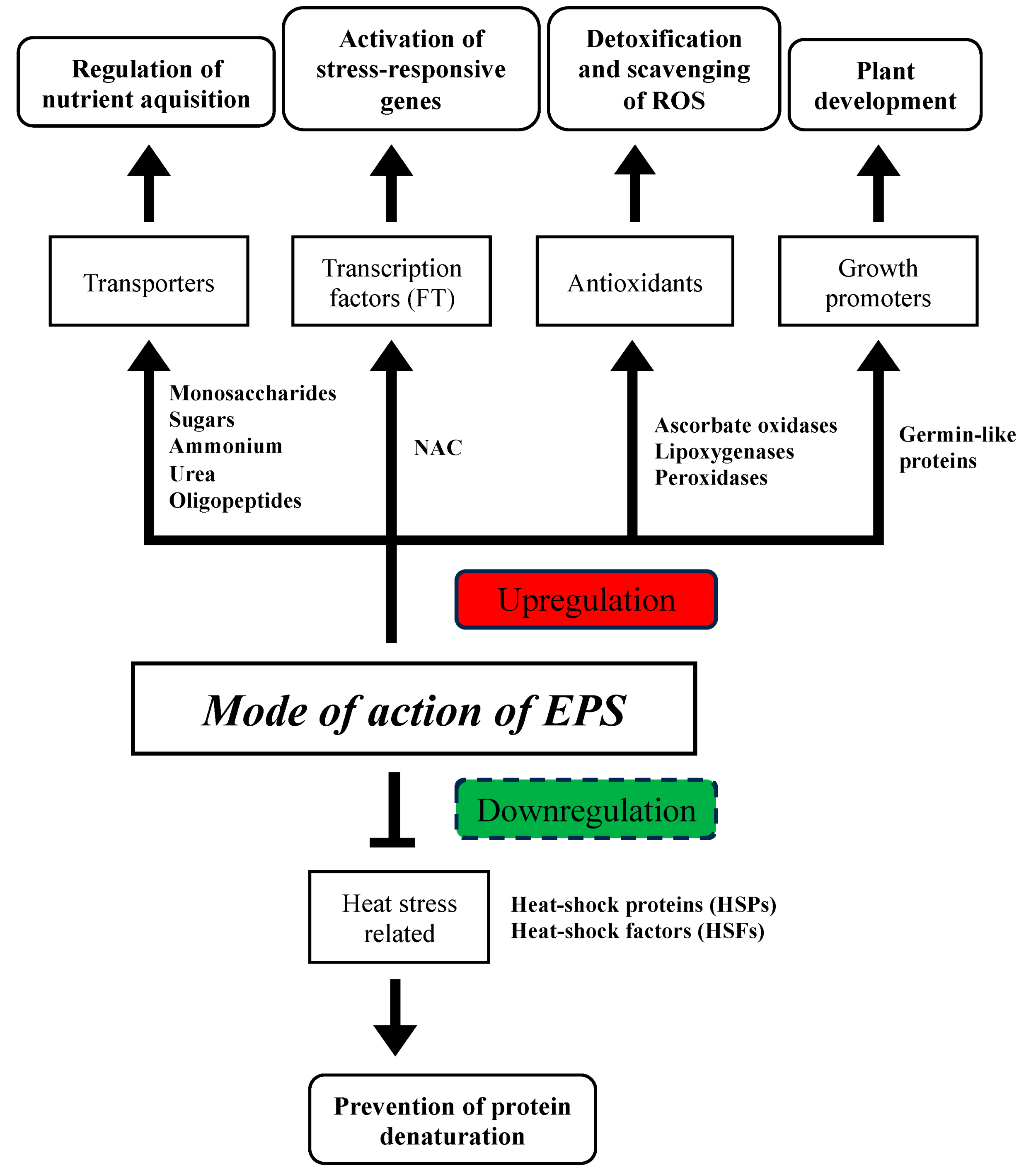 Microorganisms 12 01212 g005