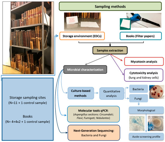 Microbial Assessment in A Rare Norwegian Book Collection: A One Health ...