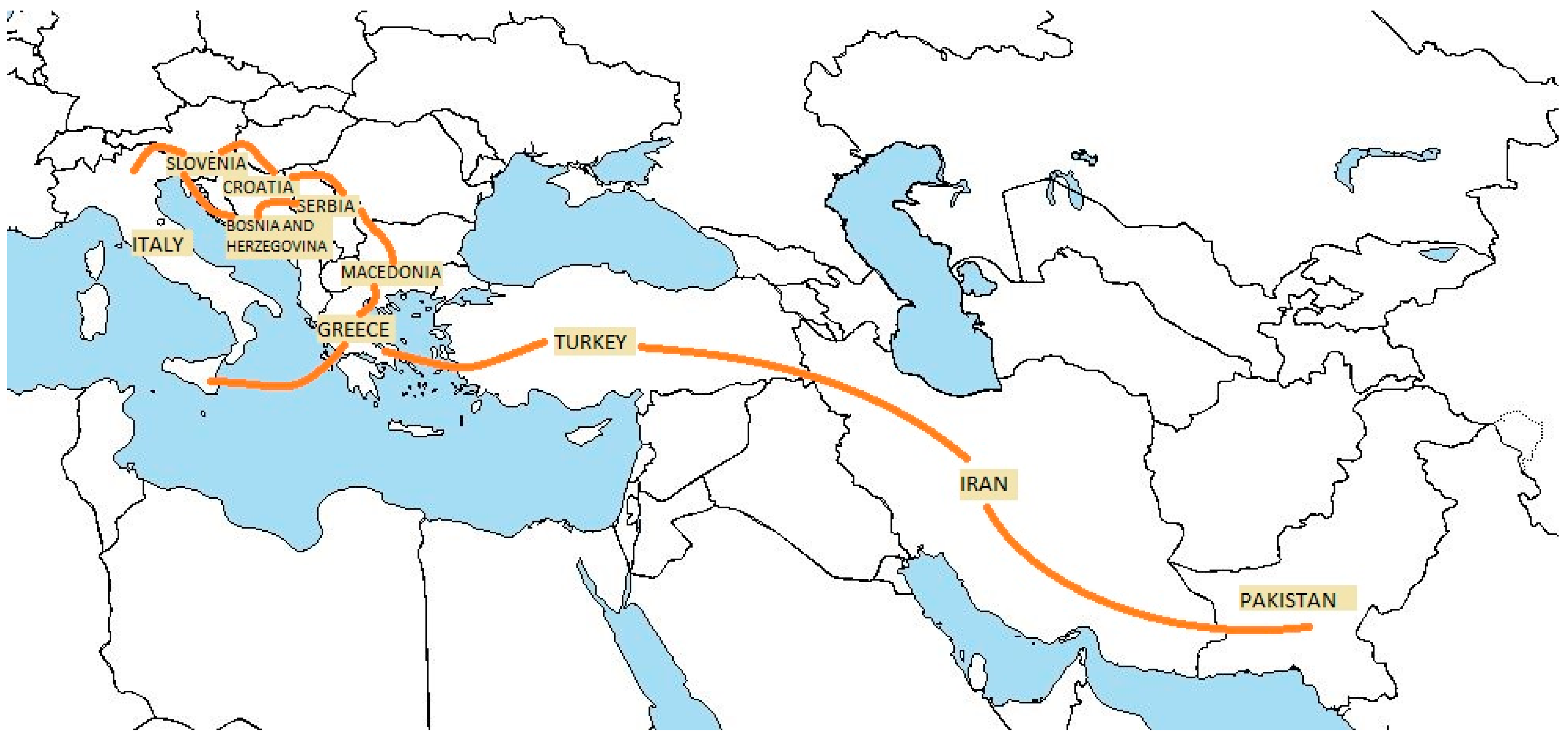 Microorganisms 12 01216 g001