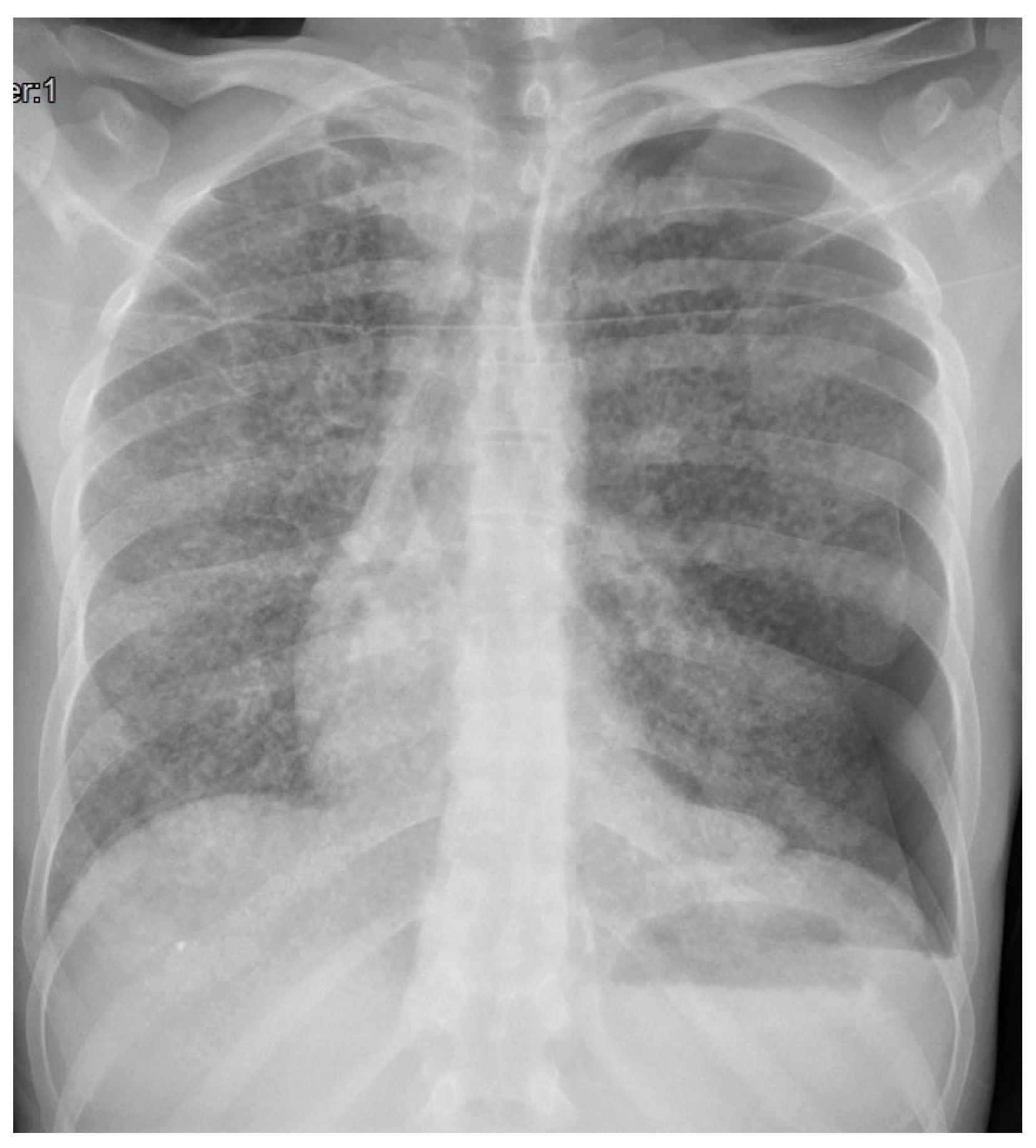 Microorganisms 12 01216 g002