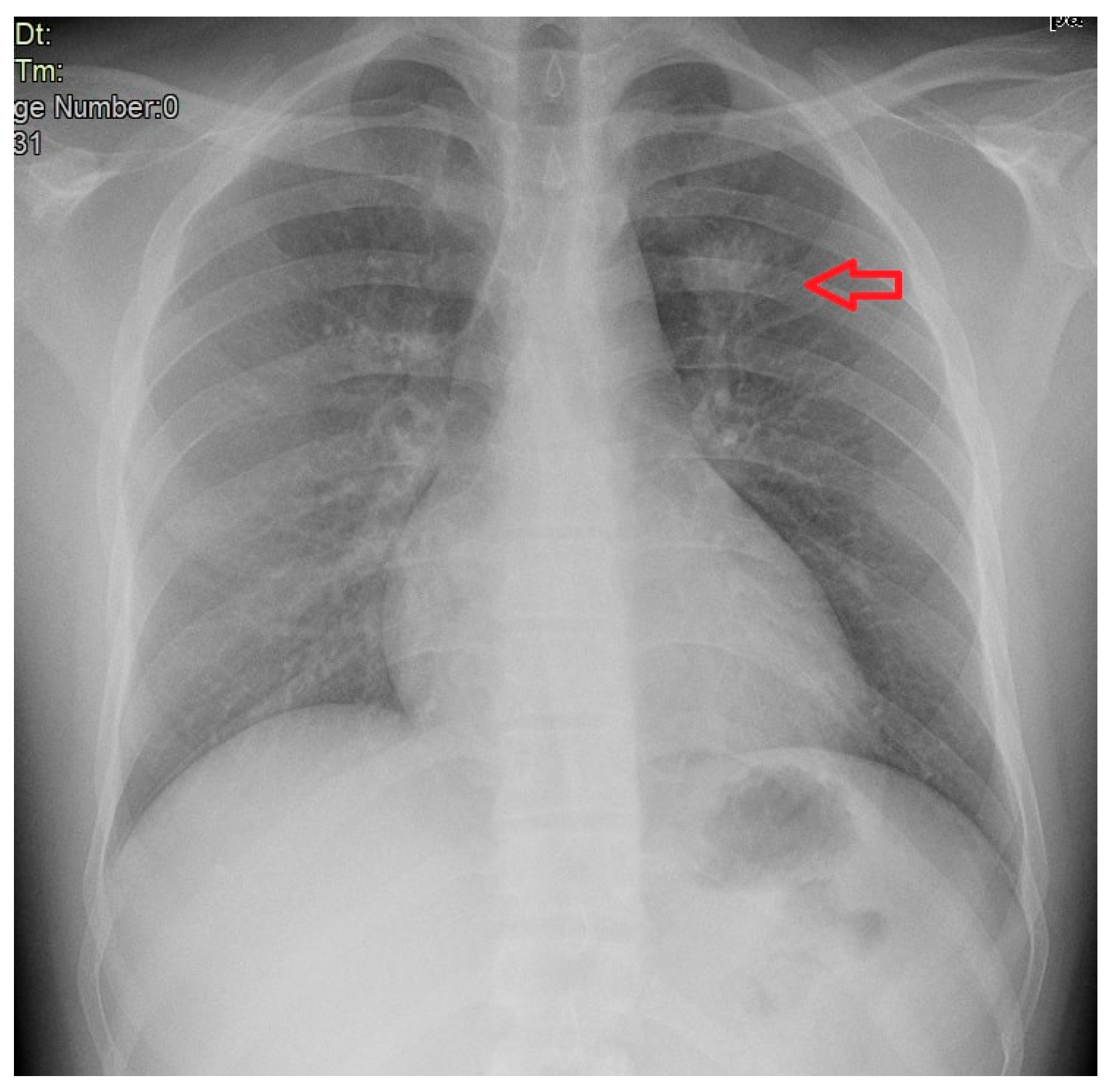 Microorganisms 12 01216 g003