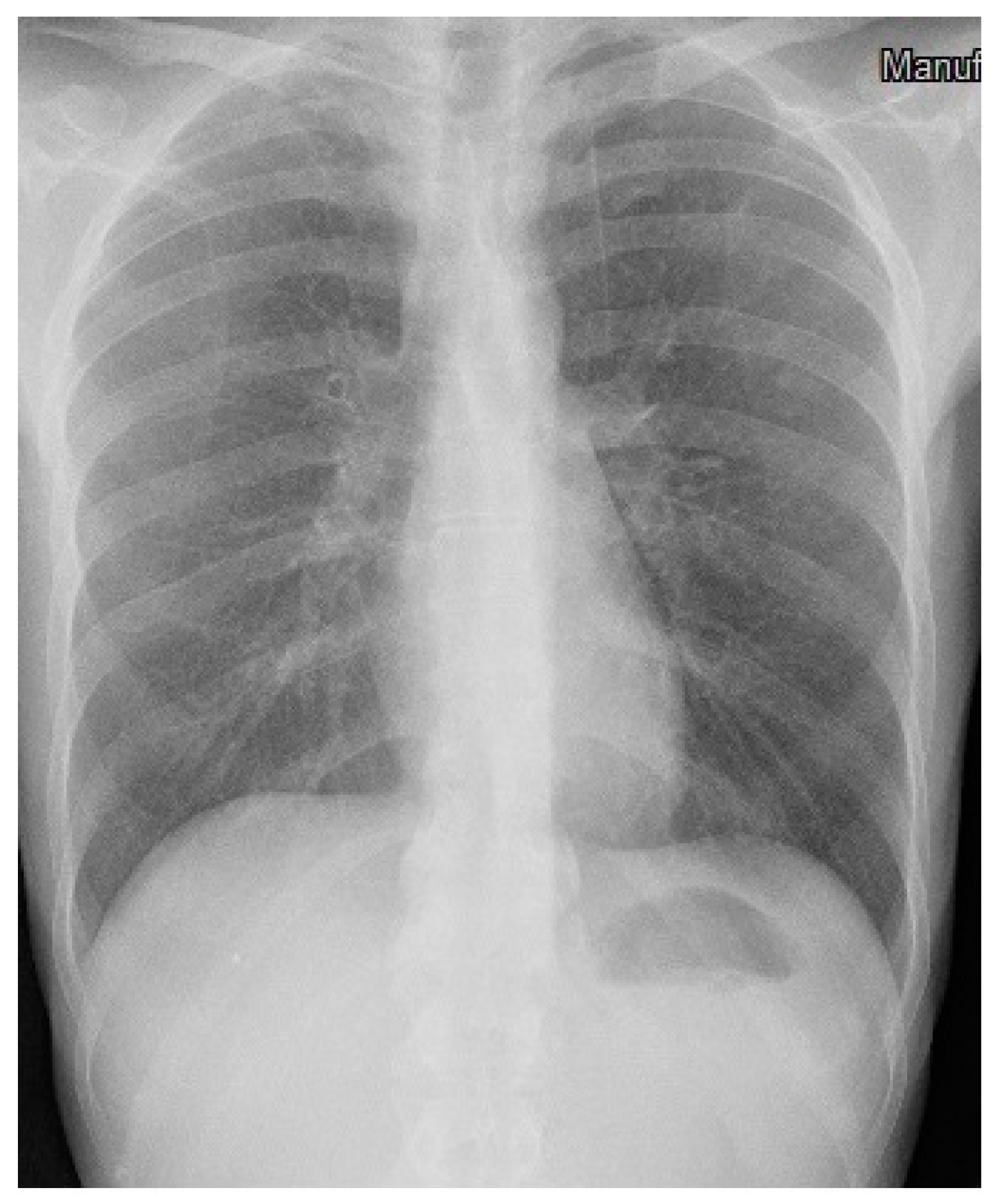 Microorganisms 12 01216 g005