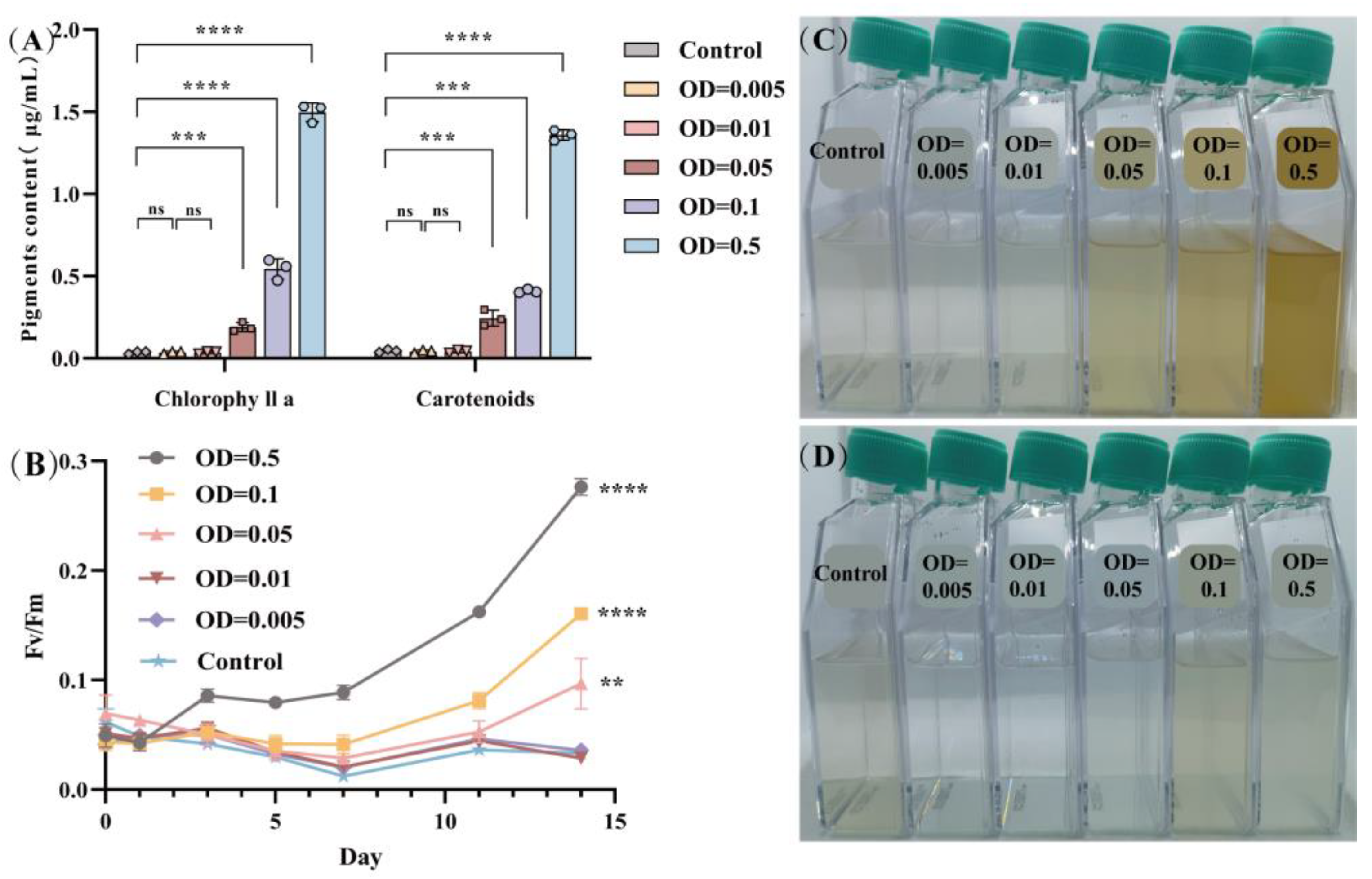 Microorganisms 12 01217 g001