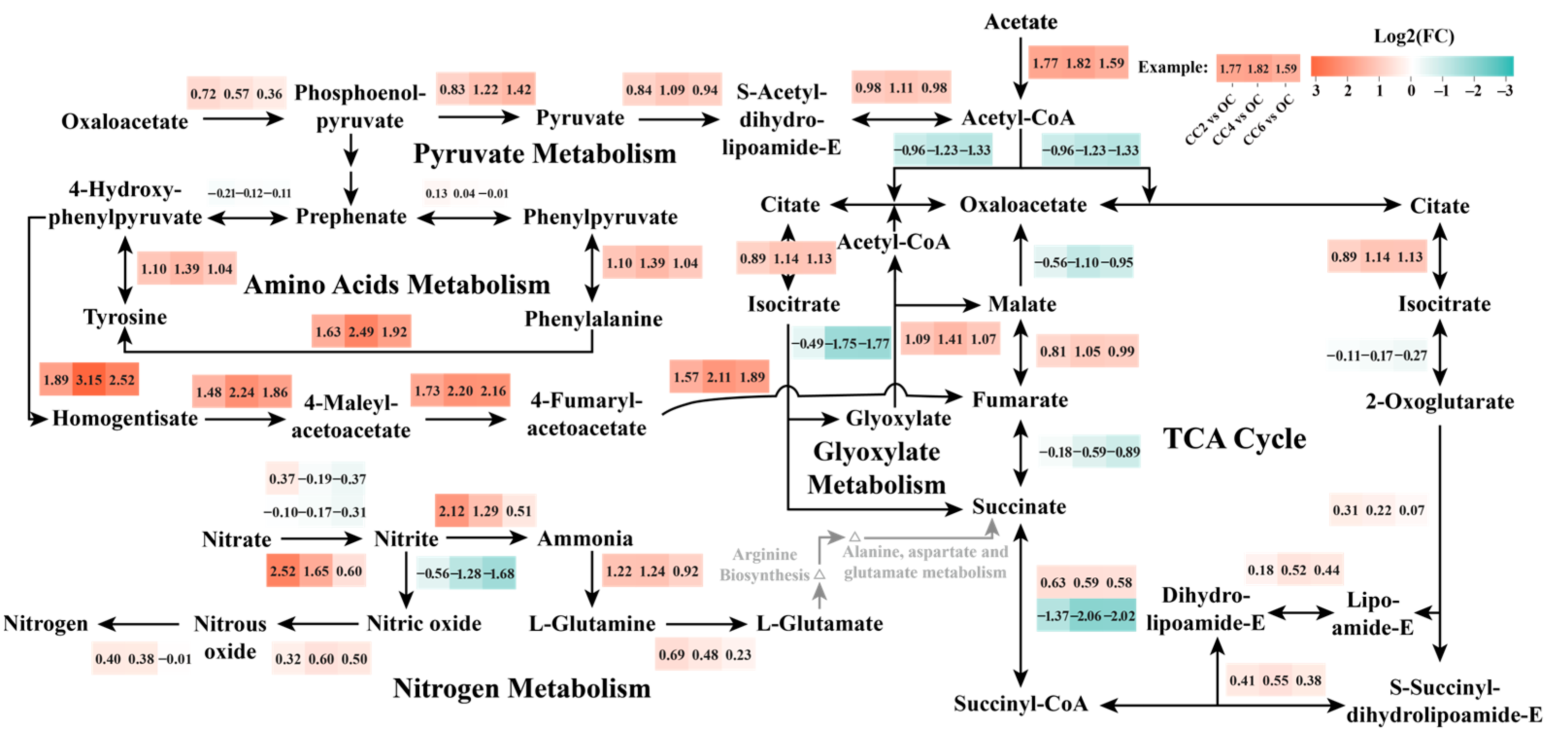 Microorganisms 12 01218 g007