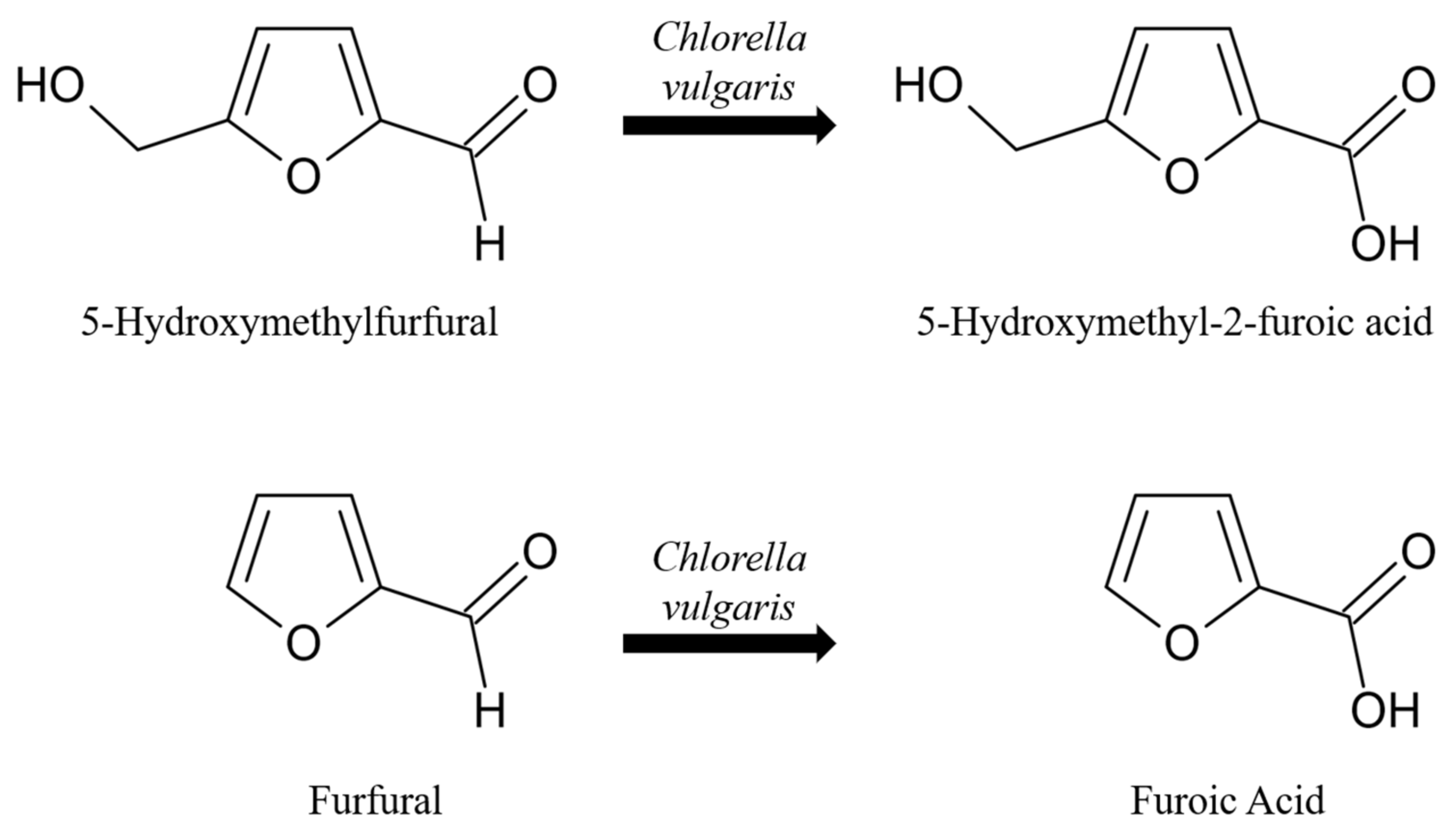 Microorganisms 12 01222 g006