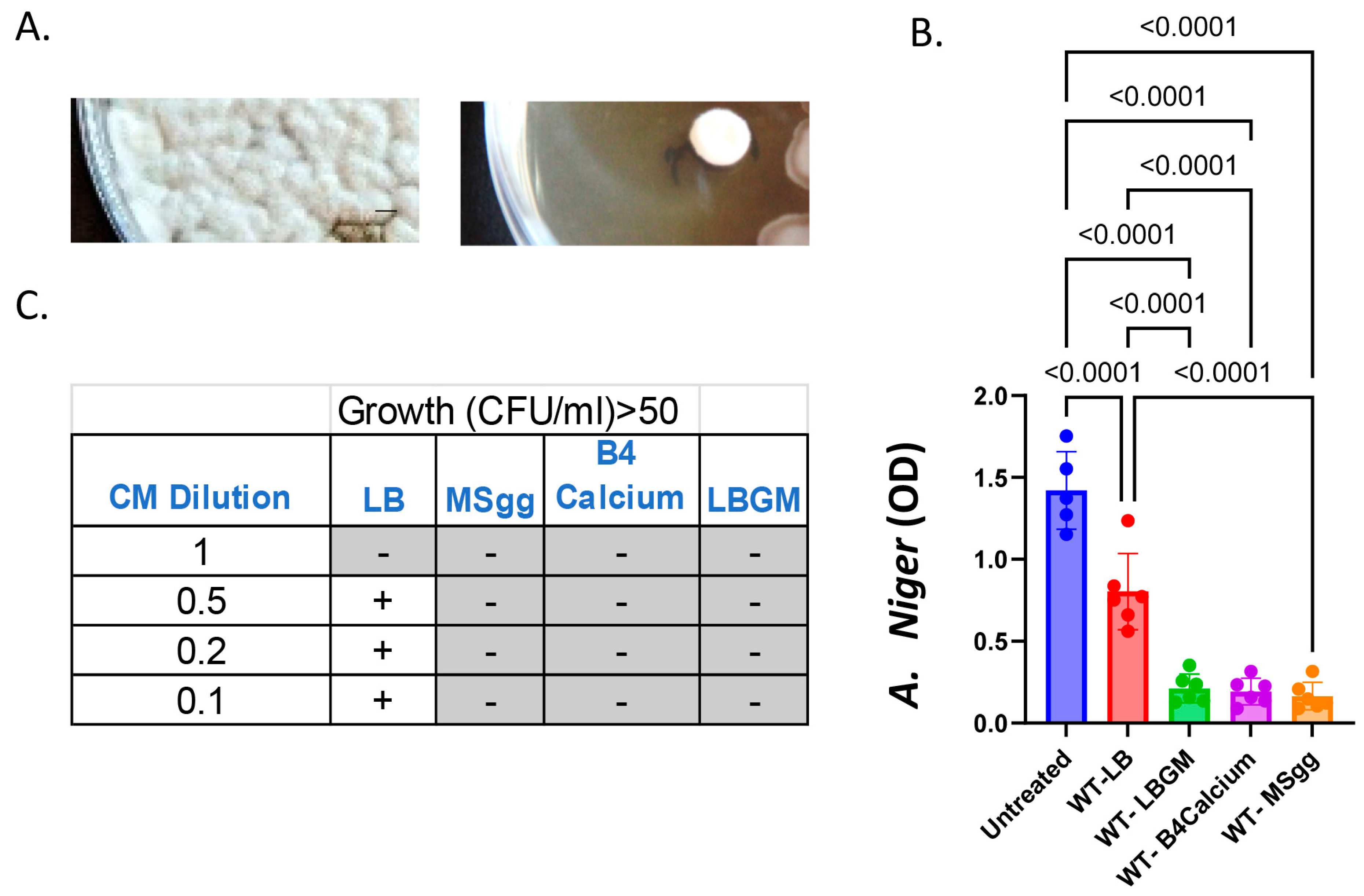 Microorganisms 12 01226 g001