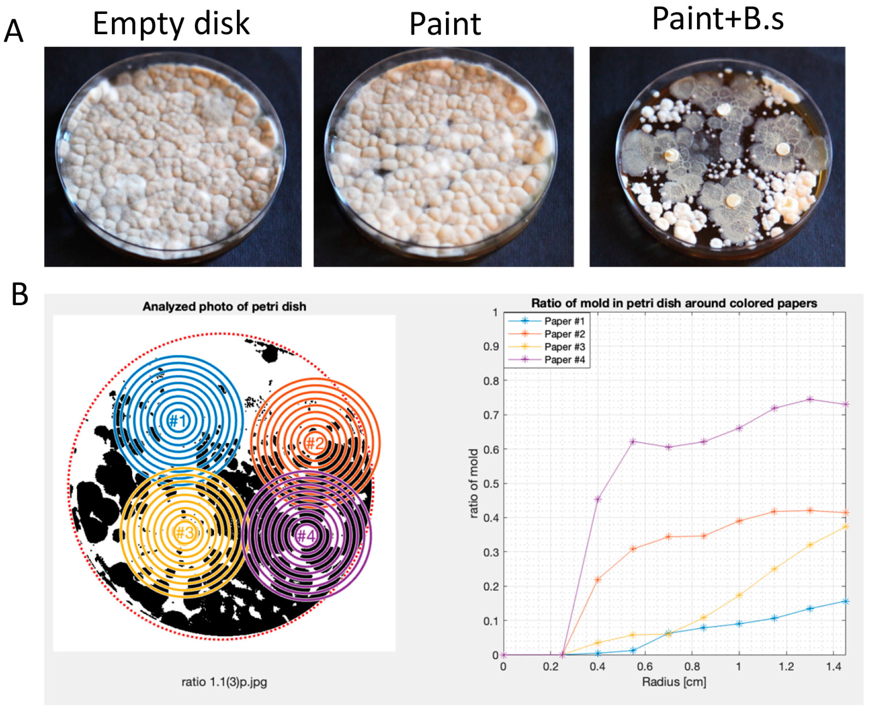 Microorganisms 12 01226 g003