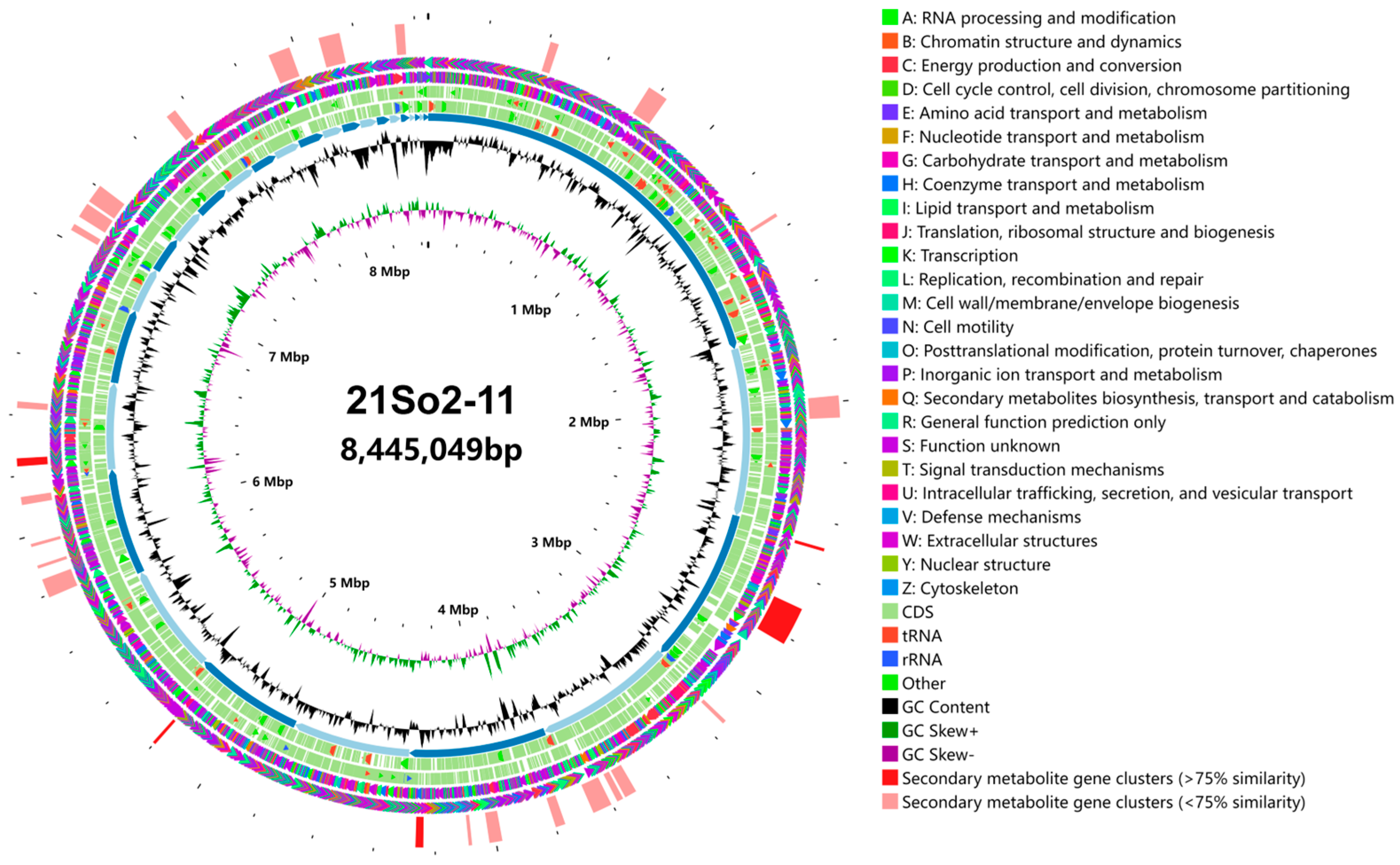 Microorganisms 12 01228 g003